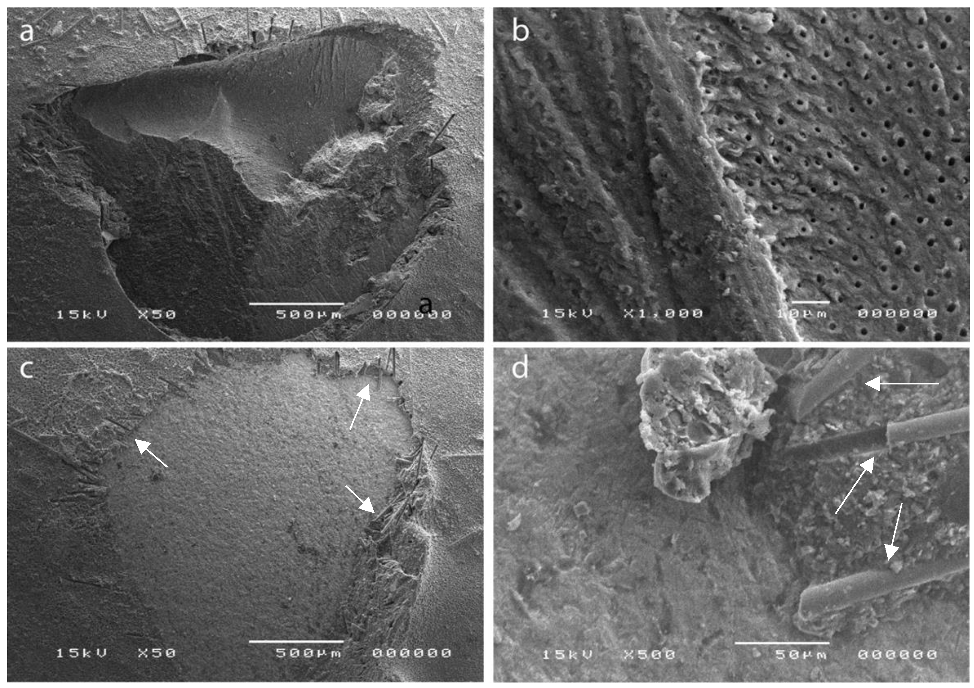 Polymers 14 05301 g006 Polymers 14 05301 g006