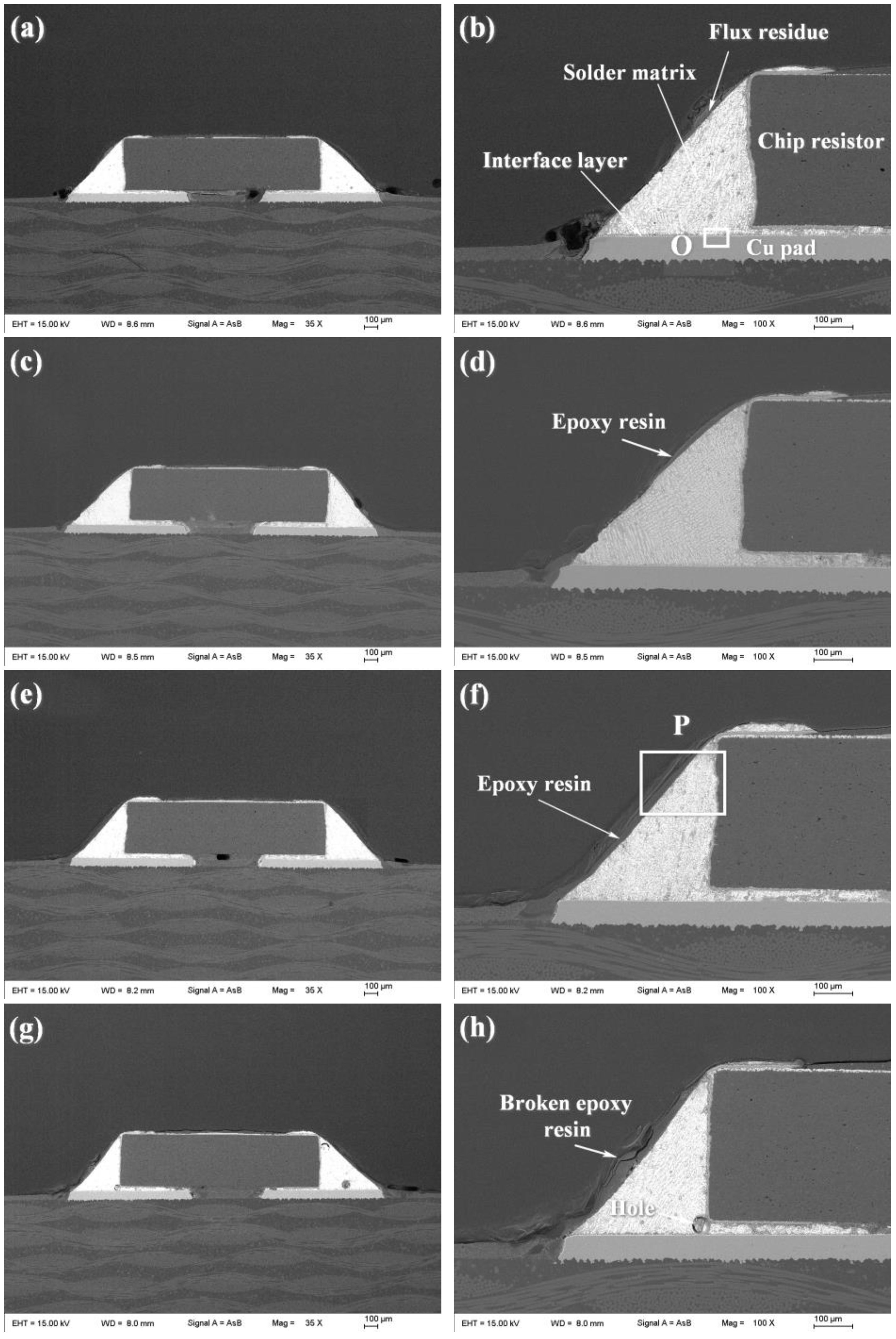 Polymers 14 05303 g006