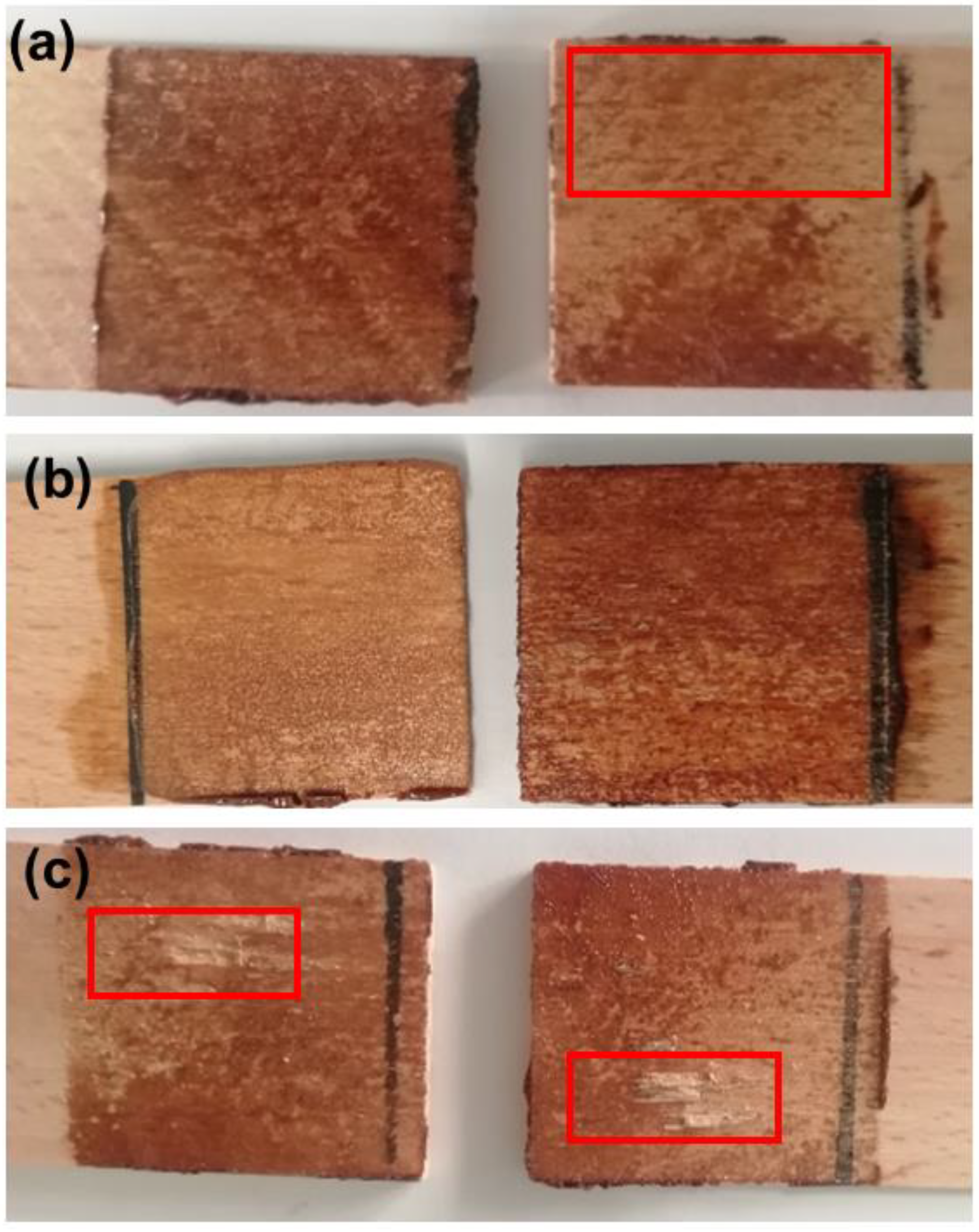 Polymers 14 05305 g004
