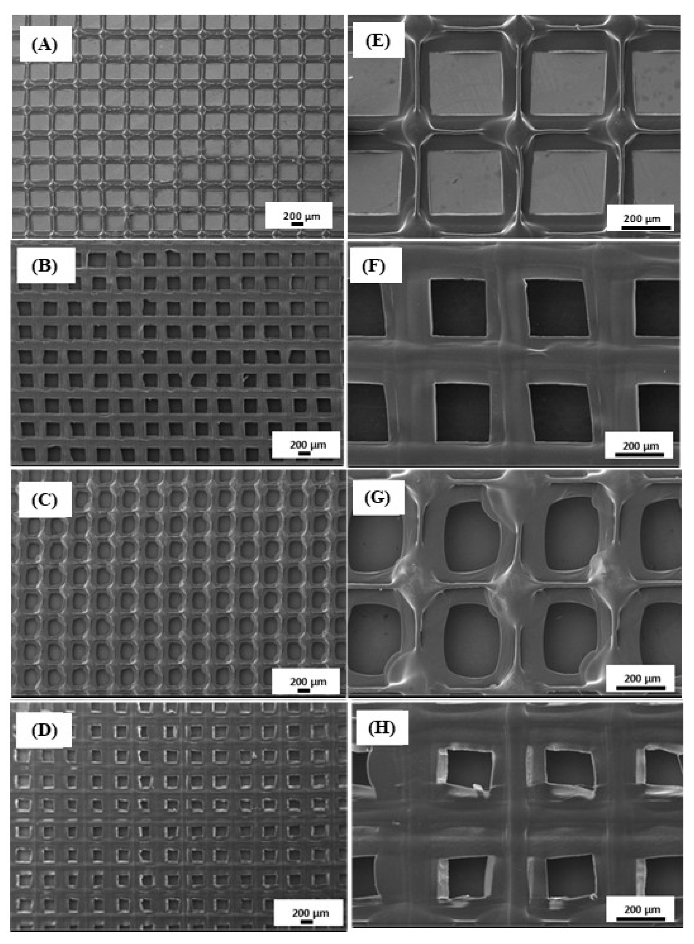 Polymers 14 05306 g002 Polymers 14 05306 g002
