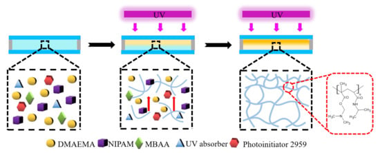 Polymers | Free Full-Text | Self-Powered Gradient Hydrogel Sensor With ...