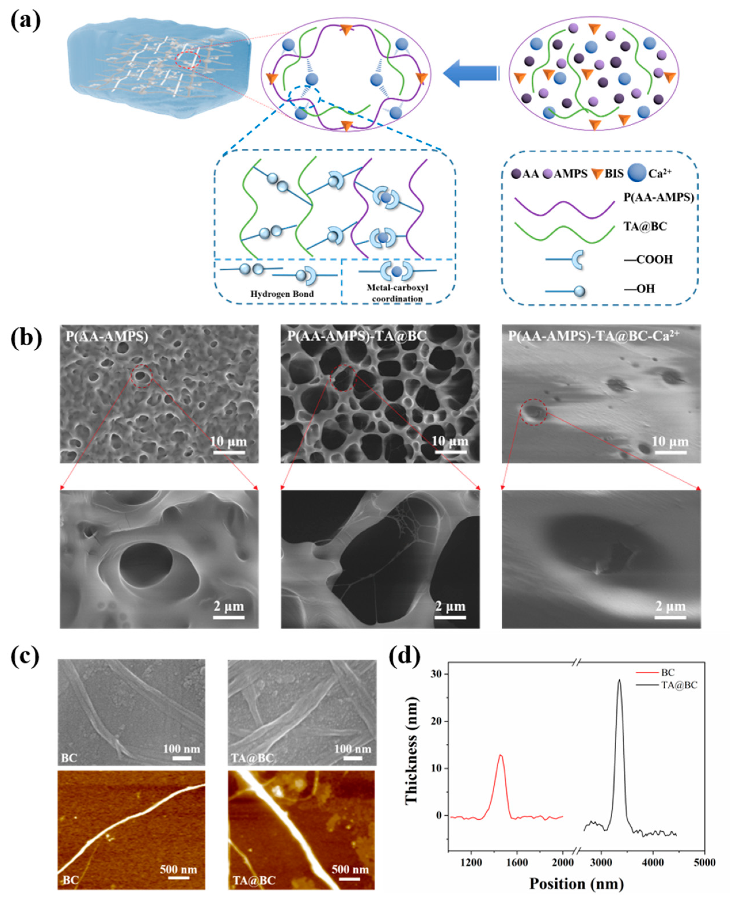 Polymers 14 05316 g001