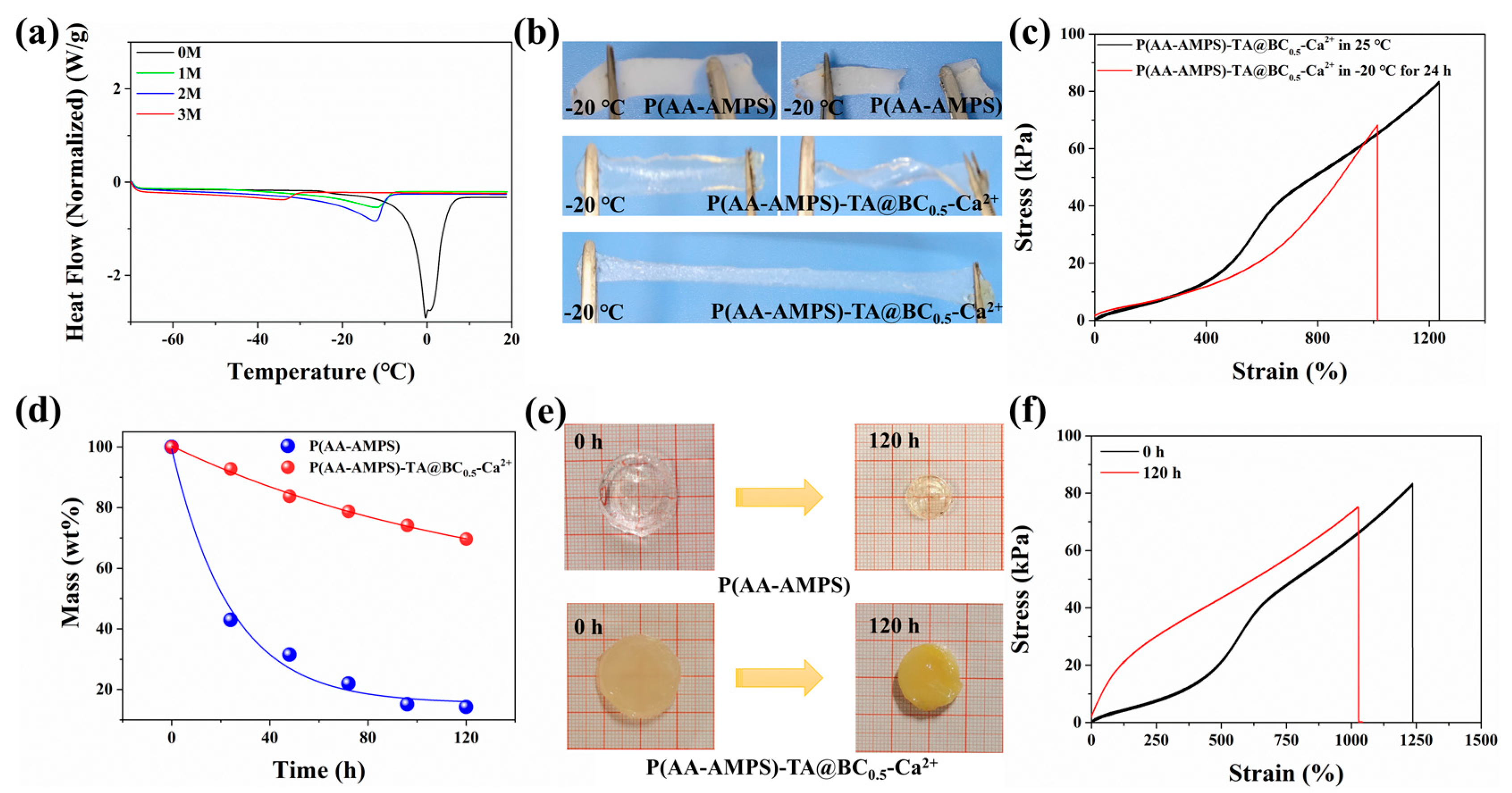 Polymers 14 05316 g004