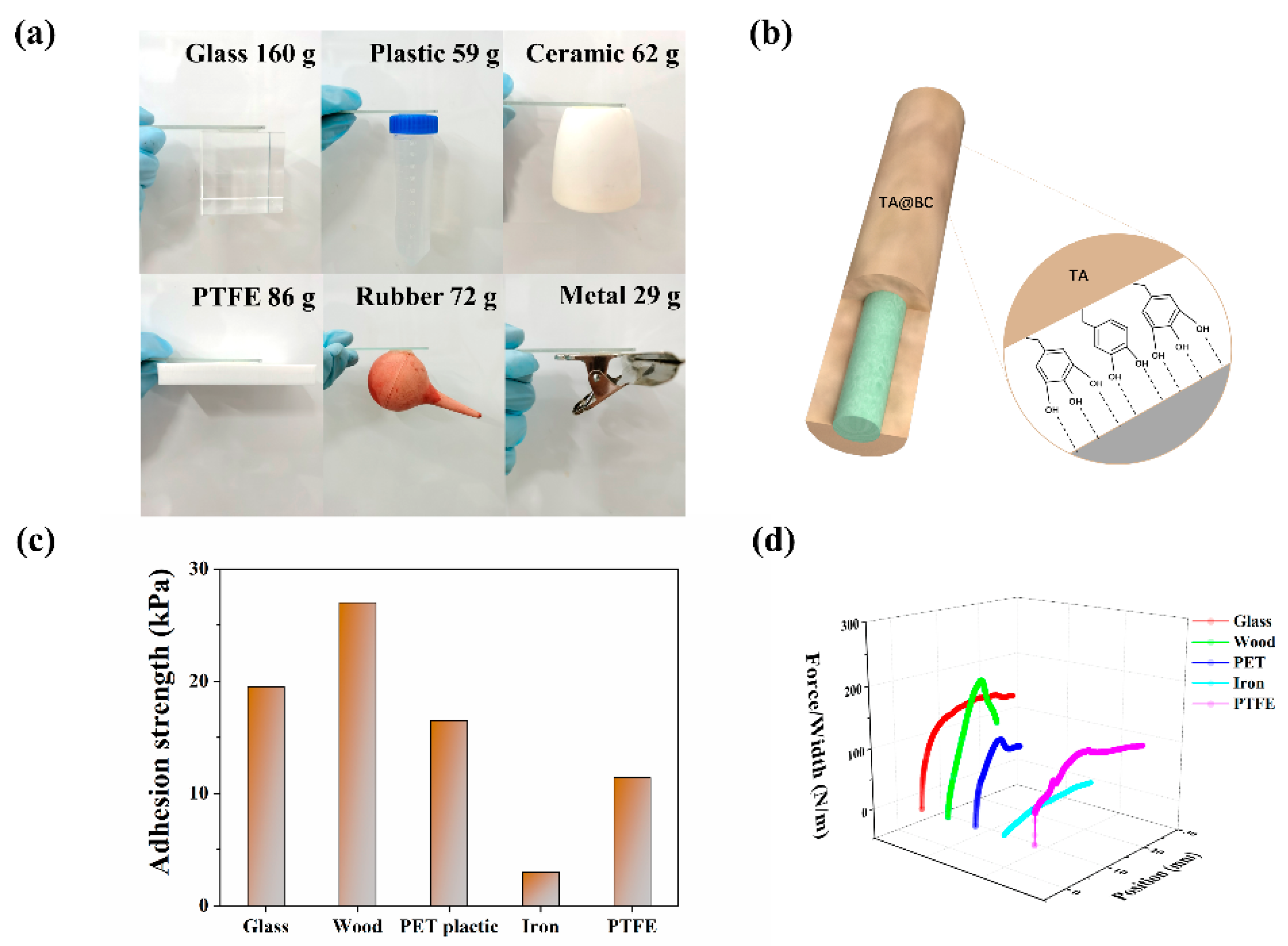 Polymers 14 05316 g005