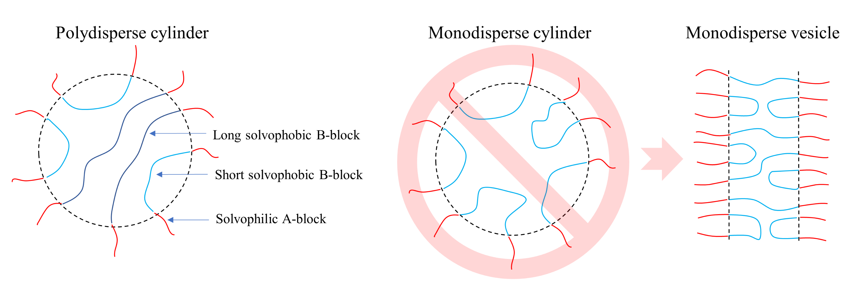 Polymers 14 05331 g004 Polymers 14 05331 g004