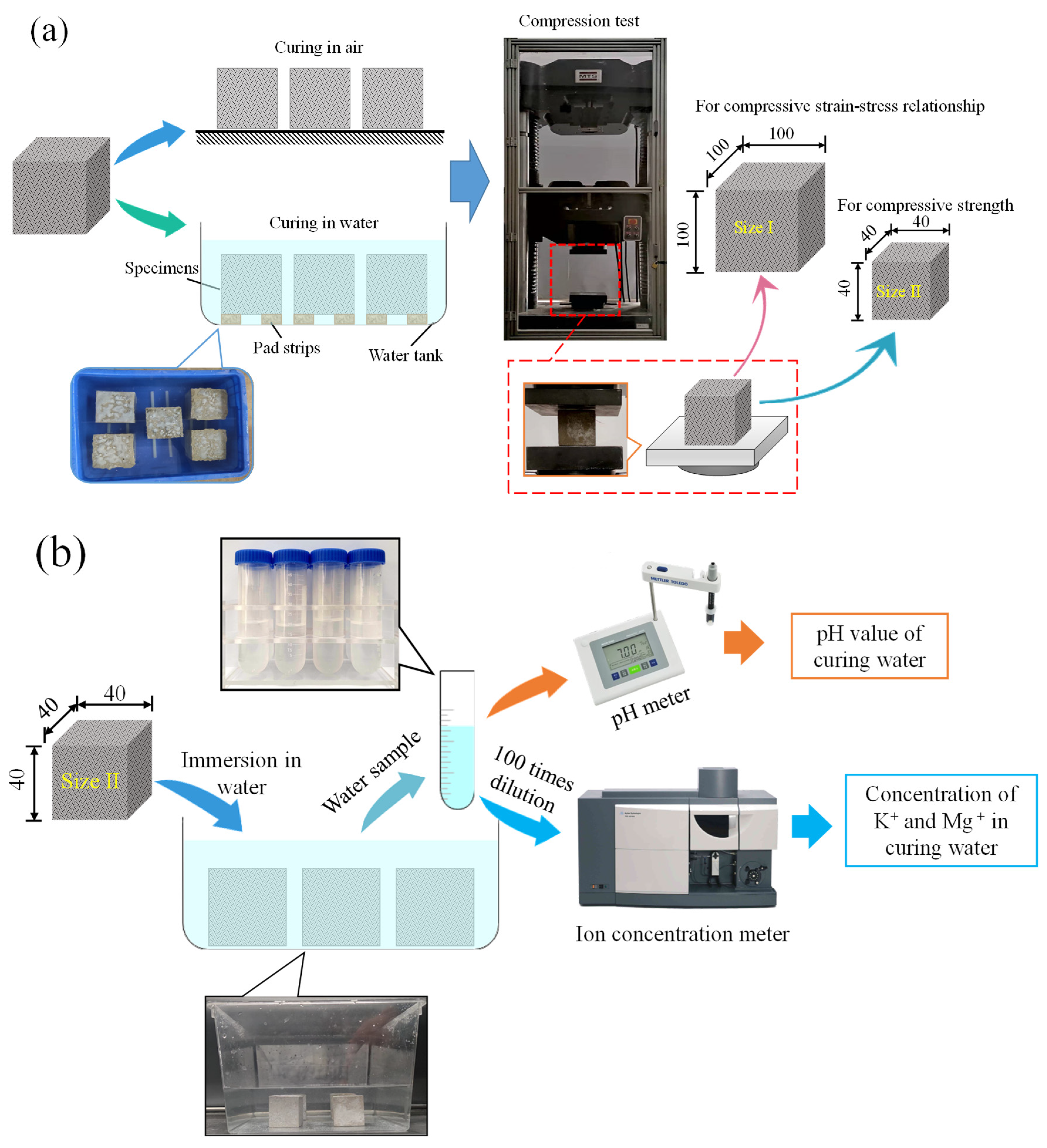Polymers 14 05339 g001