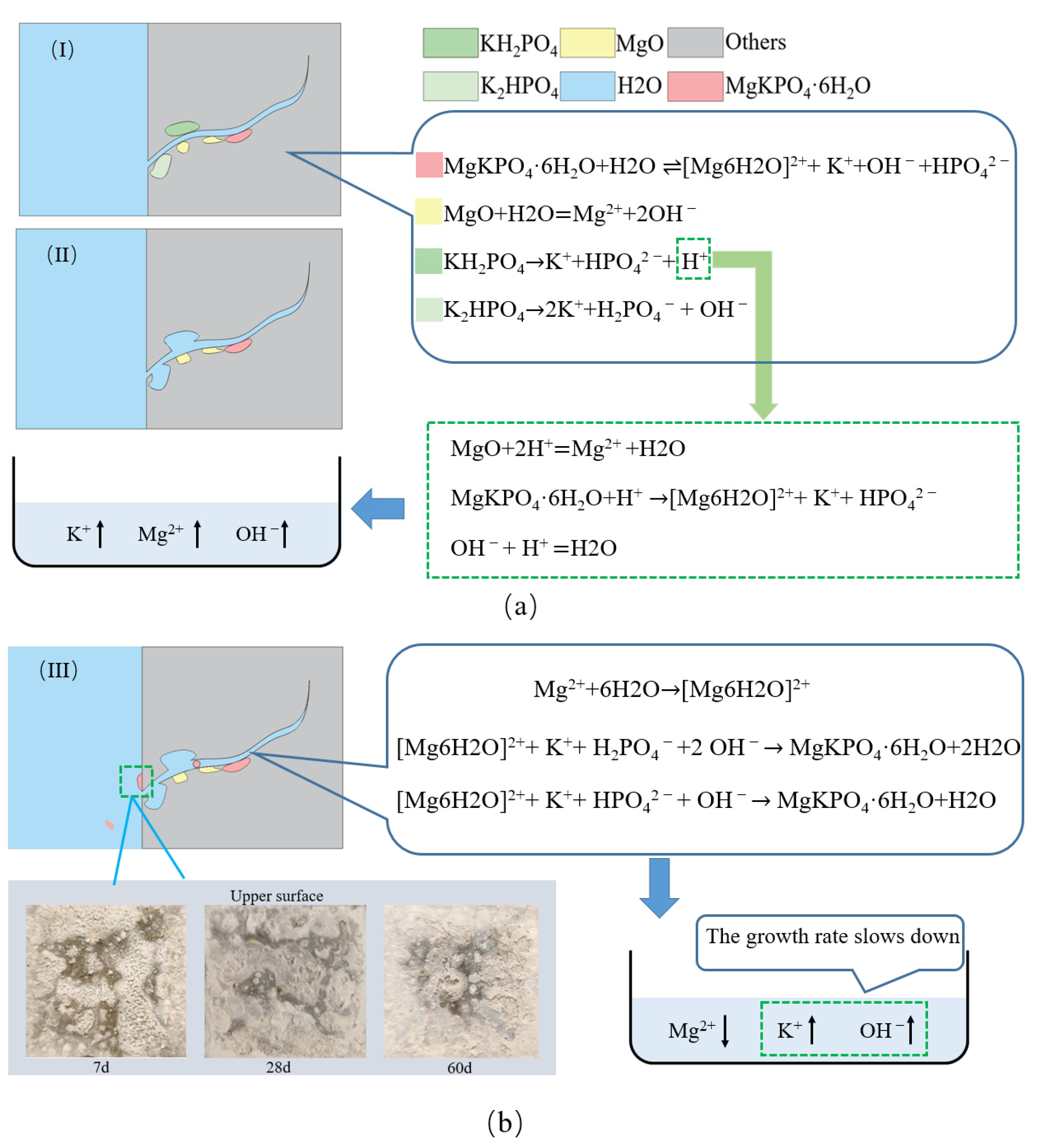 Polymers 14 05339 g009