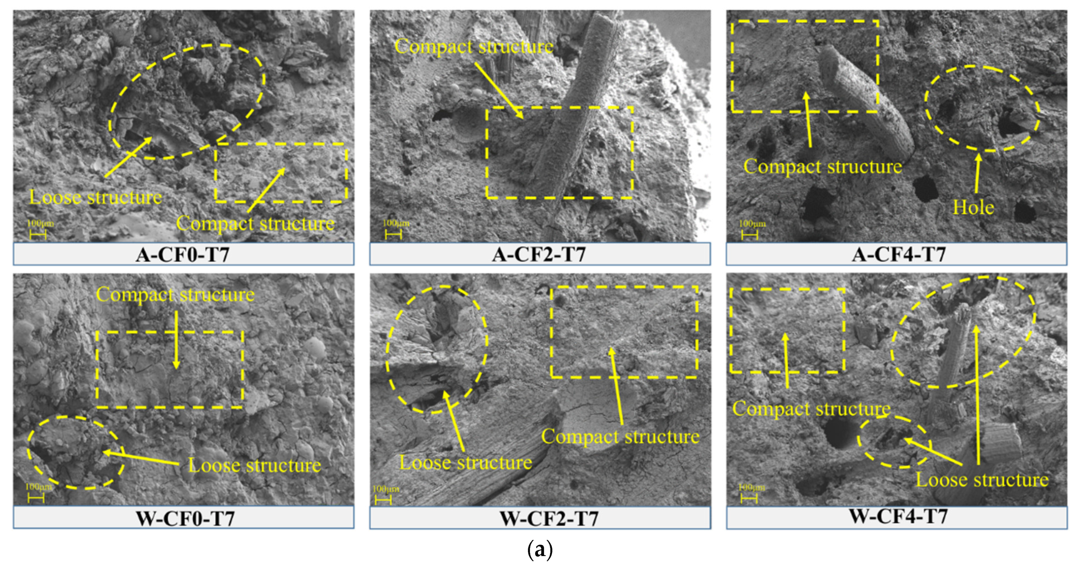 Polymers 14 05339 g012a