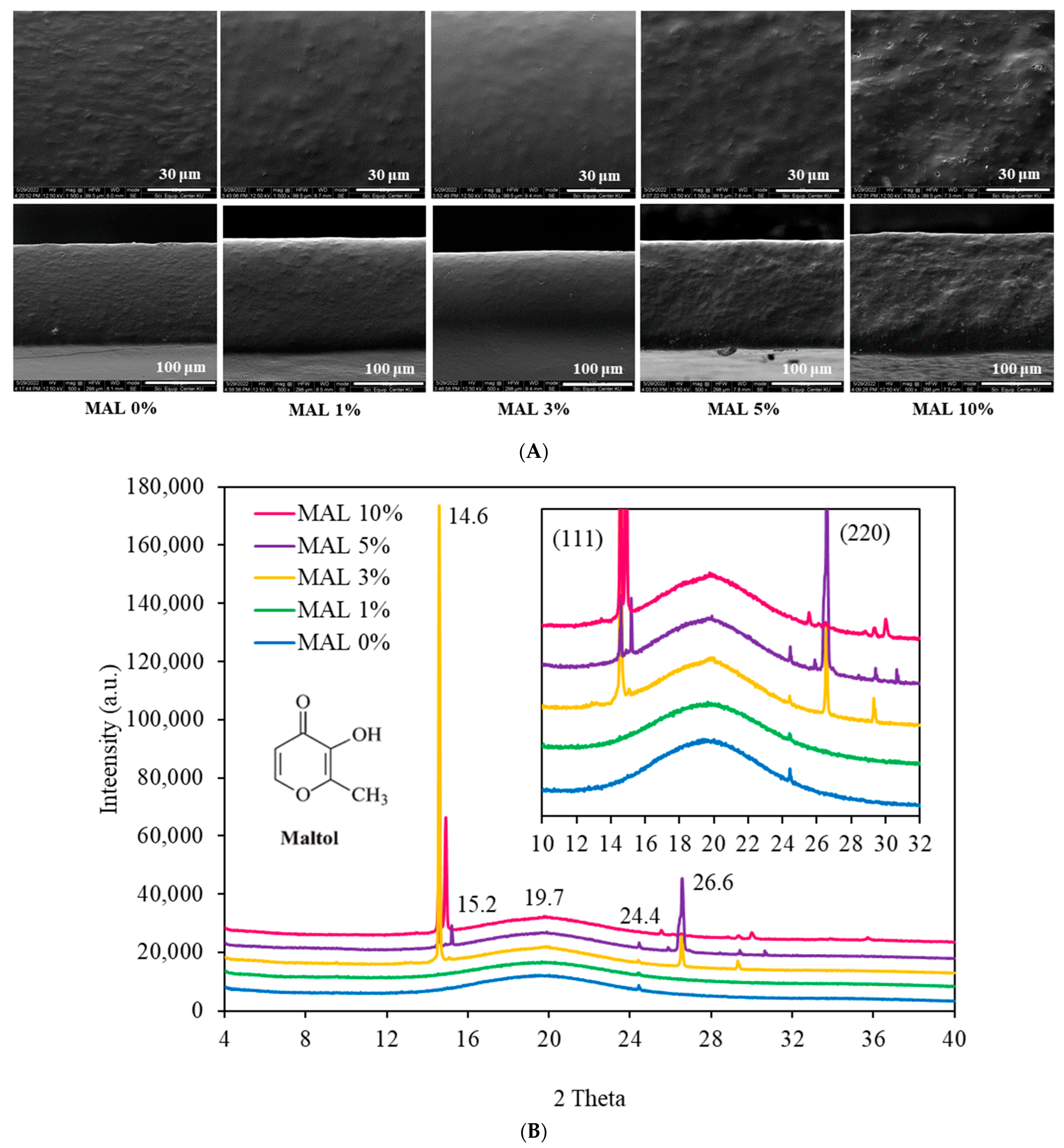 Polymers 14 05342 g001