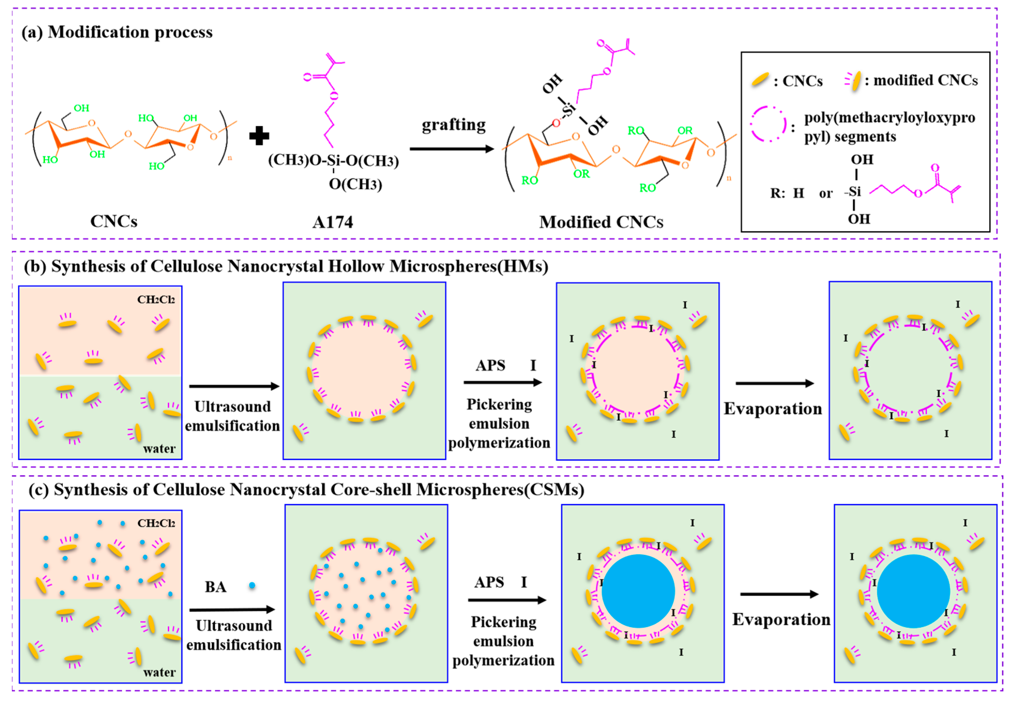 Polymers 14 05345 g001