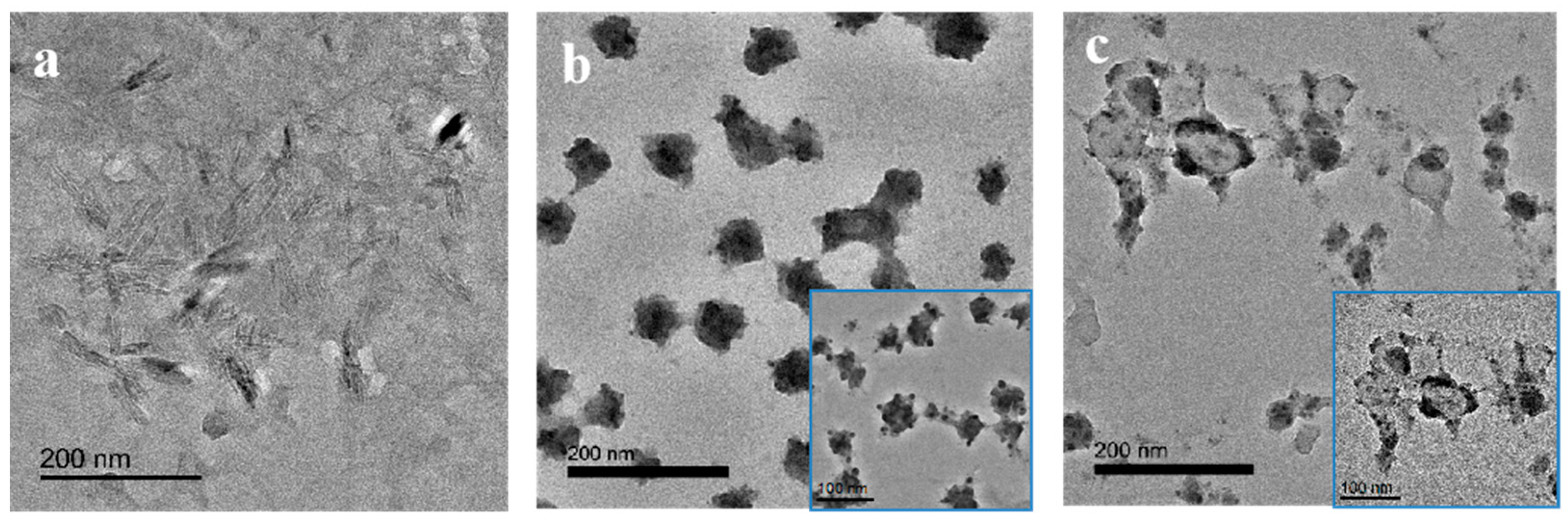 Polymers 14 05345 g002