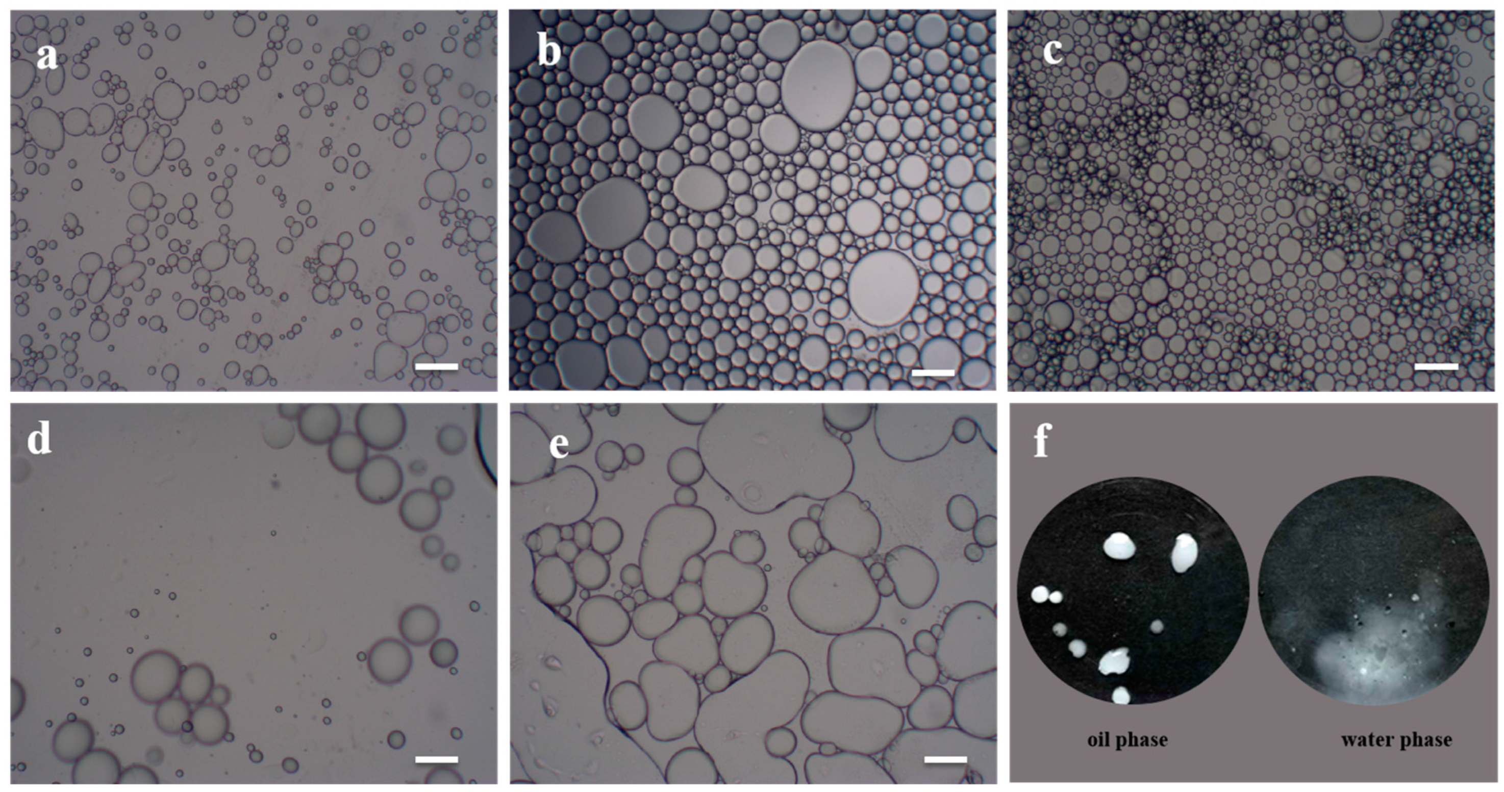 Polymers 14 05345 g006