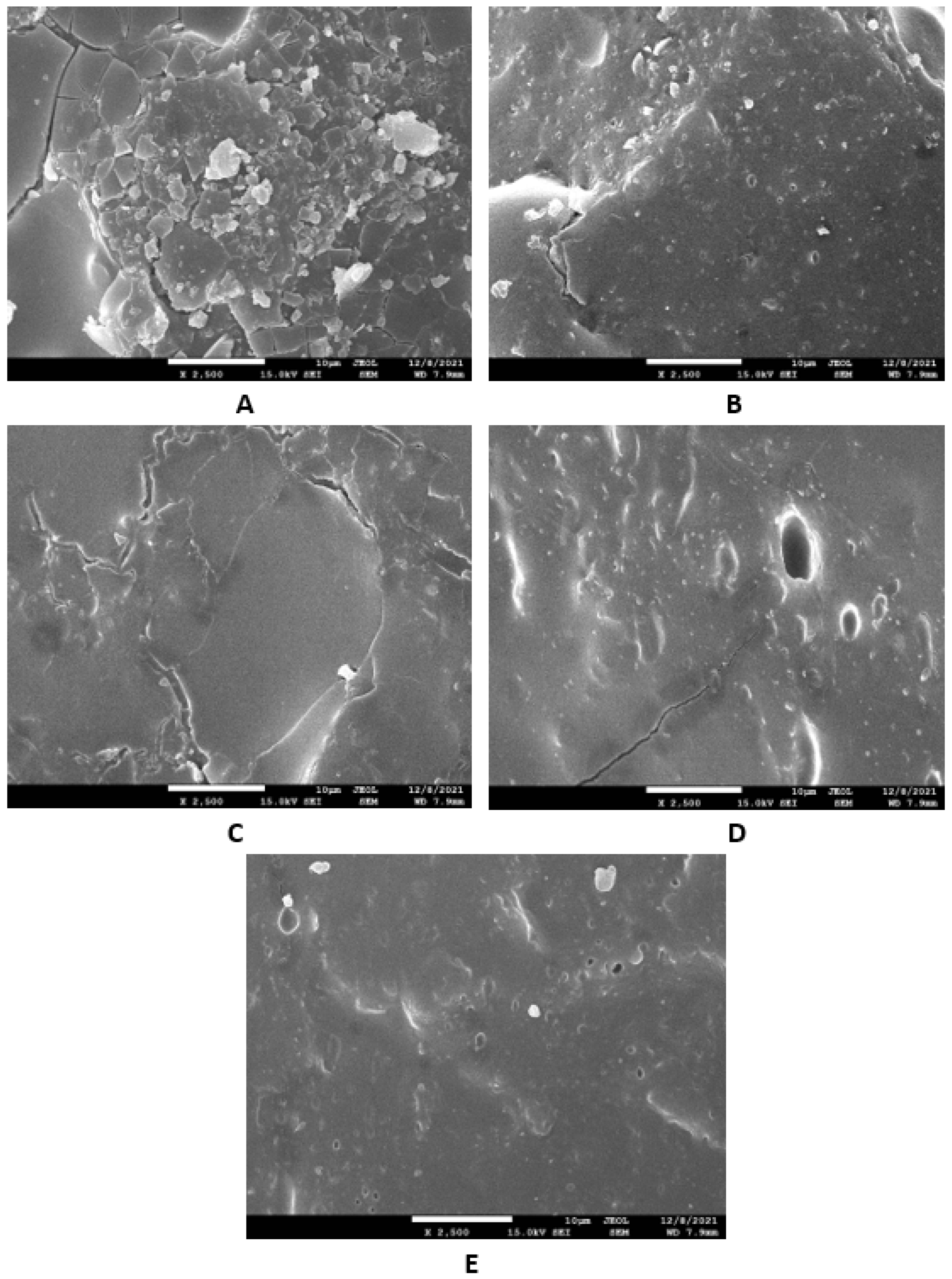 Polymers 14 05356 g018