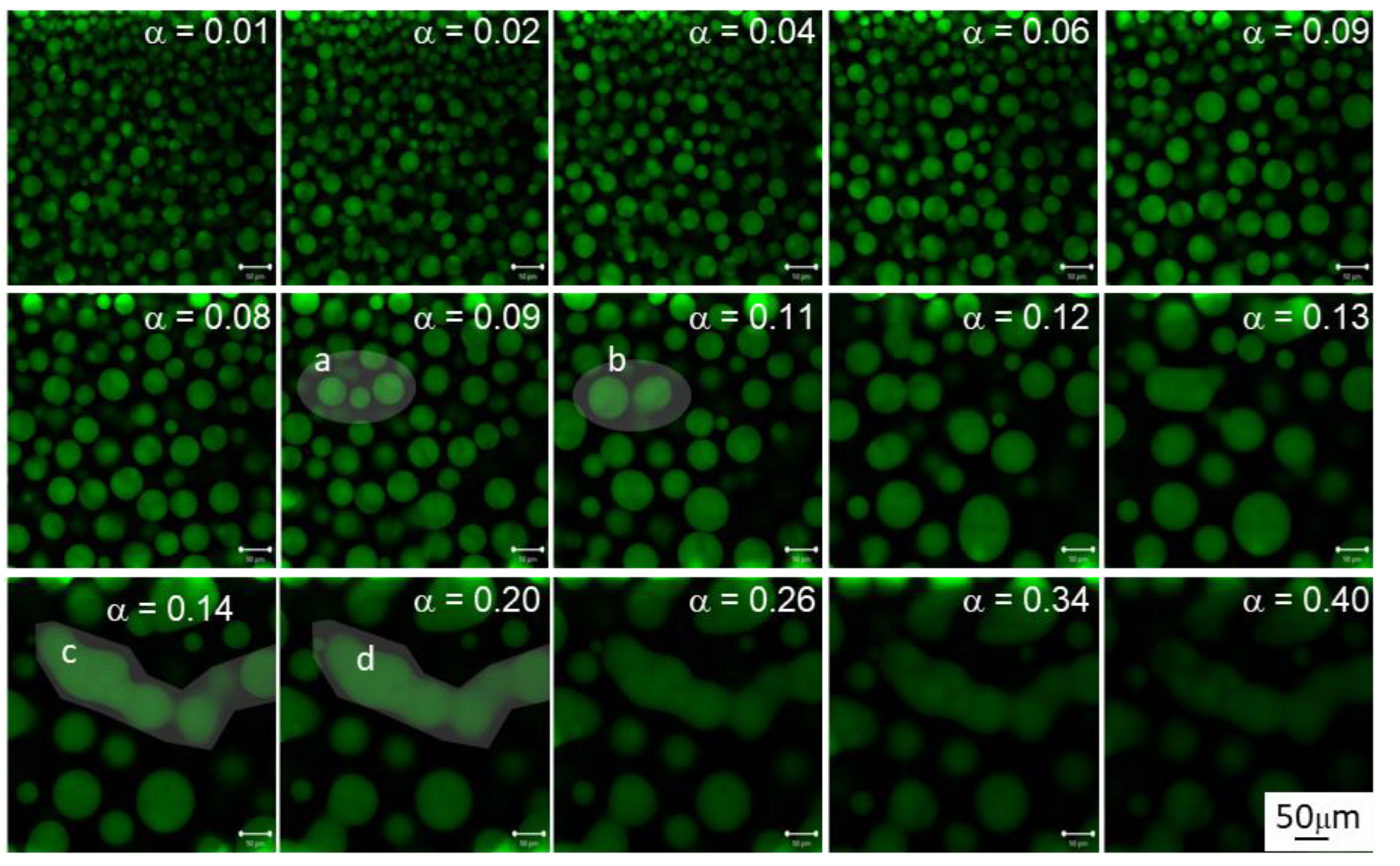 Polymers 14 05375 g004
