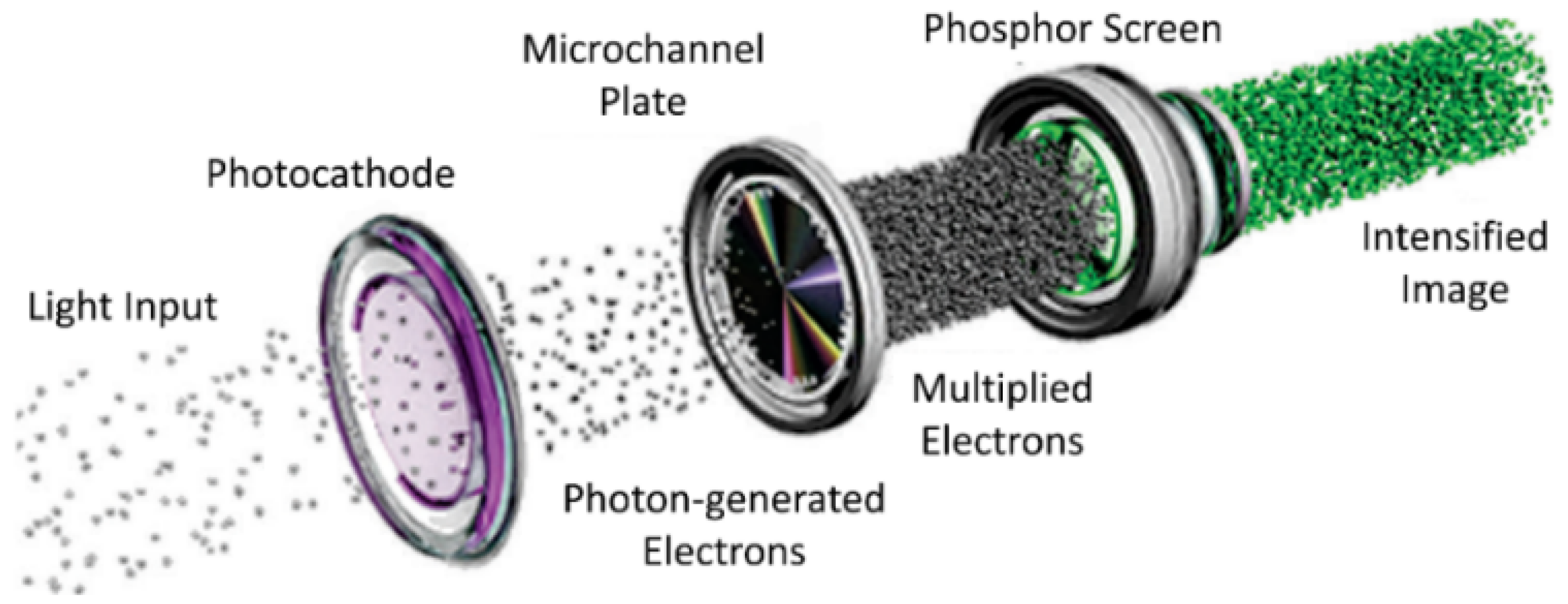 Polymers 14 05387 g002 Polymers 14 05387 g002