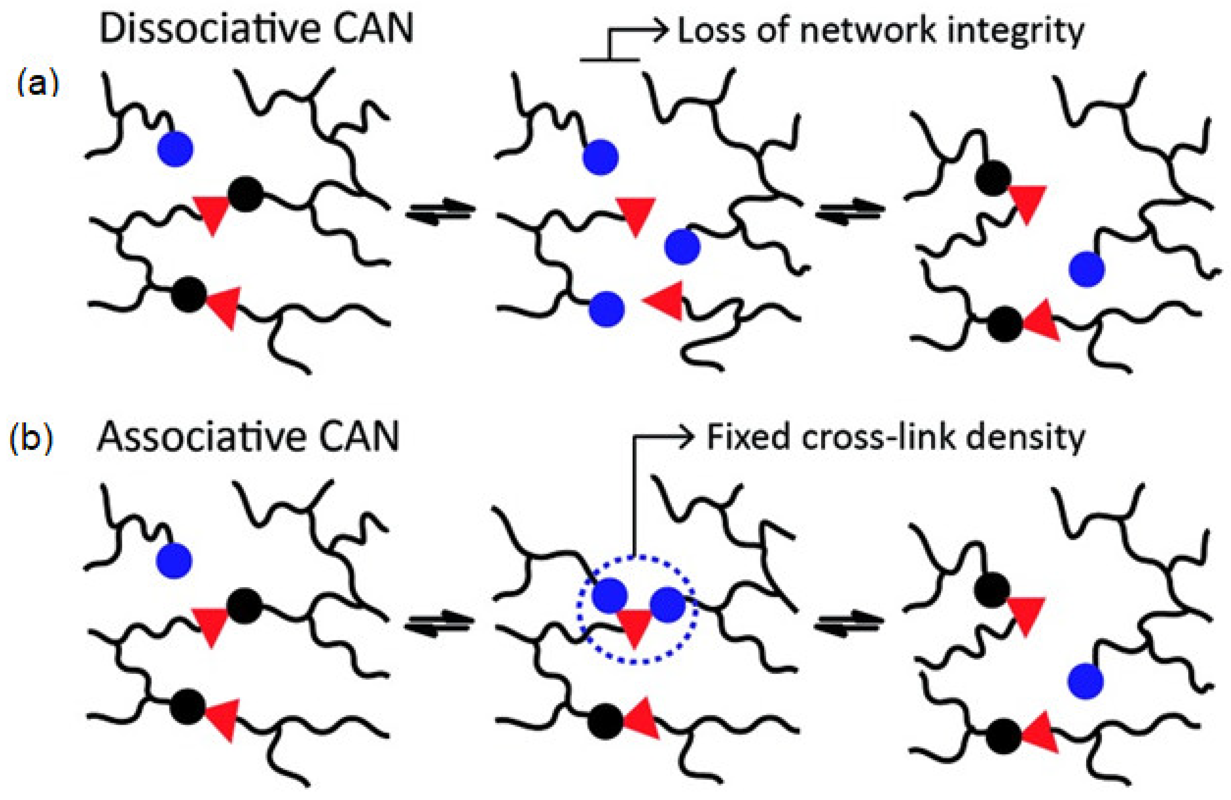 Polymers 14 05404 g002 Polymers 14 05404 g002