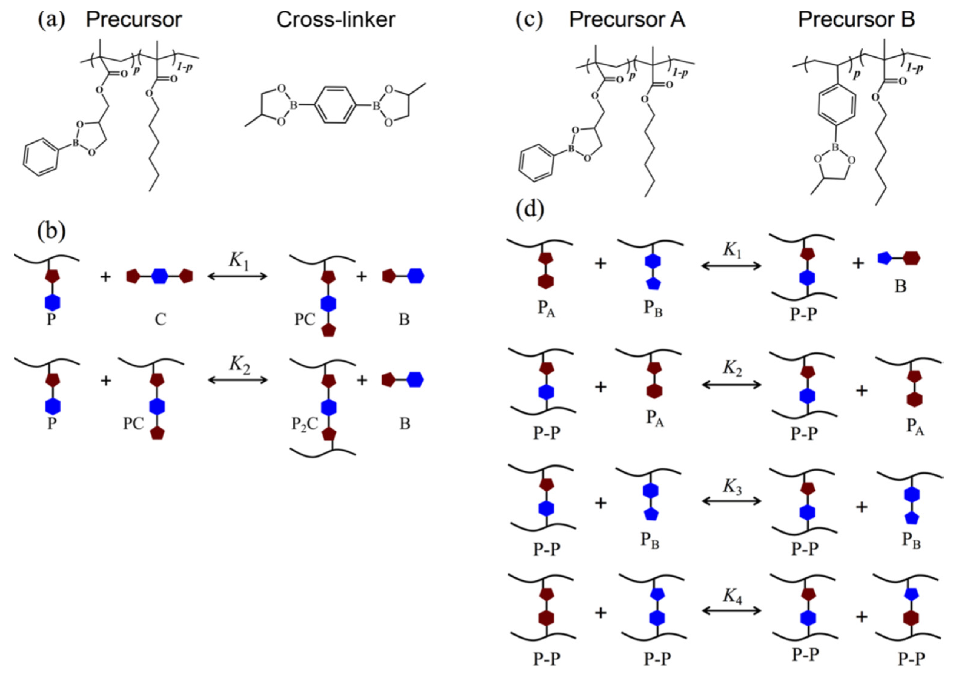 Polymers 14 05404 g007 Polymers 14 05404 g007