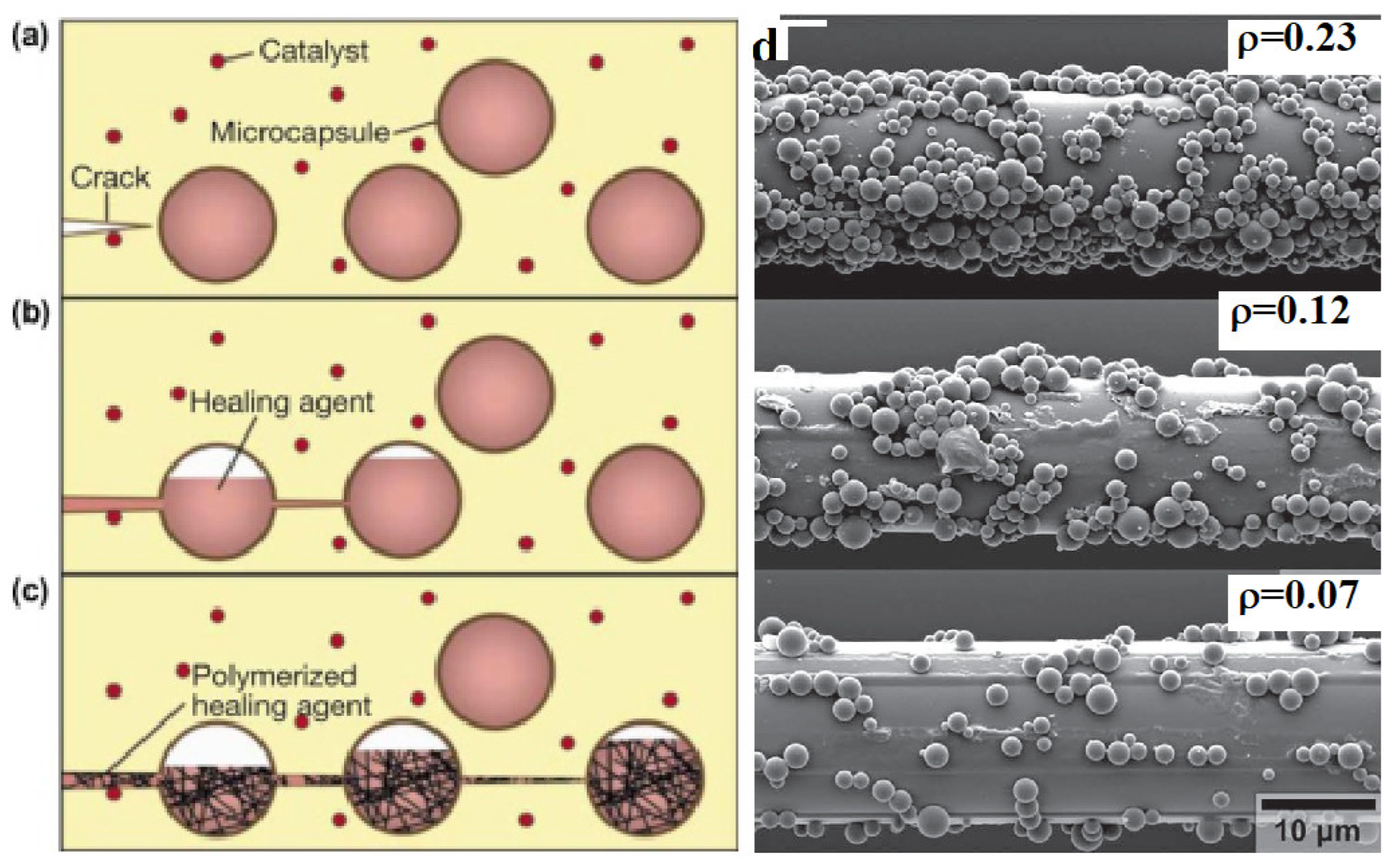 Polymers 14 05404 g010 Polymers 14 05404 g010