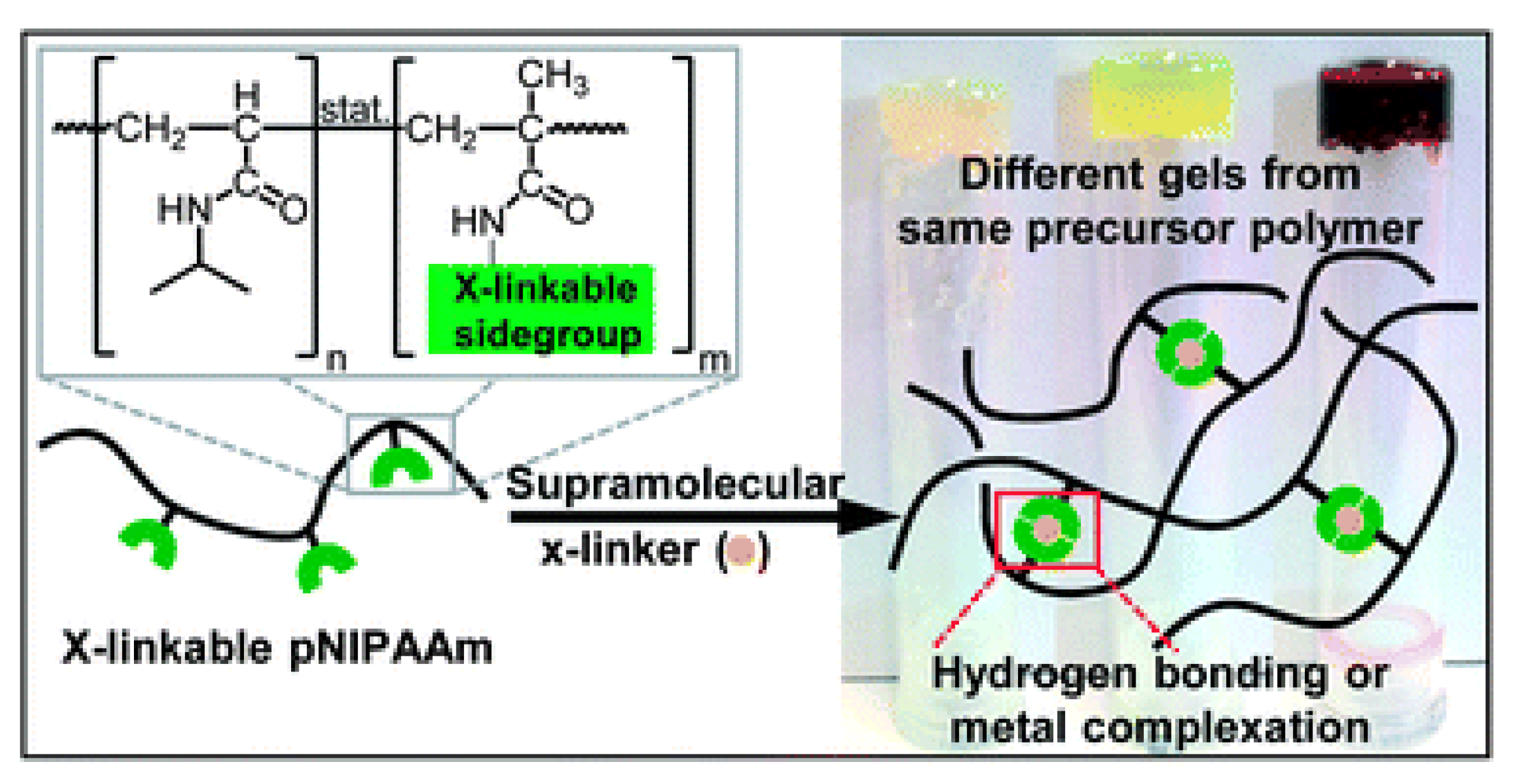 Polymers 14 05404 g015 Polymers 14 05404 g015