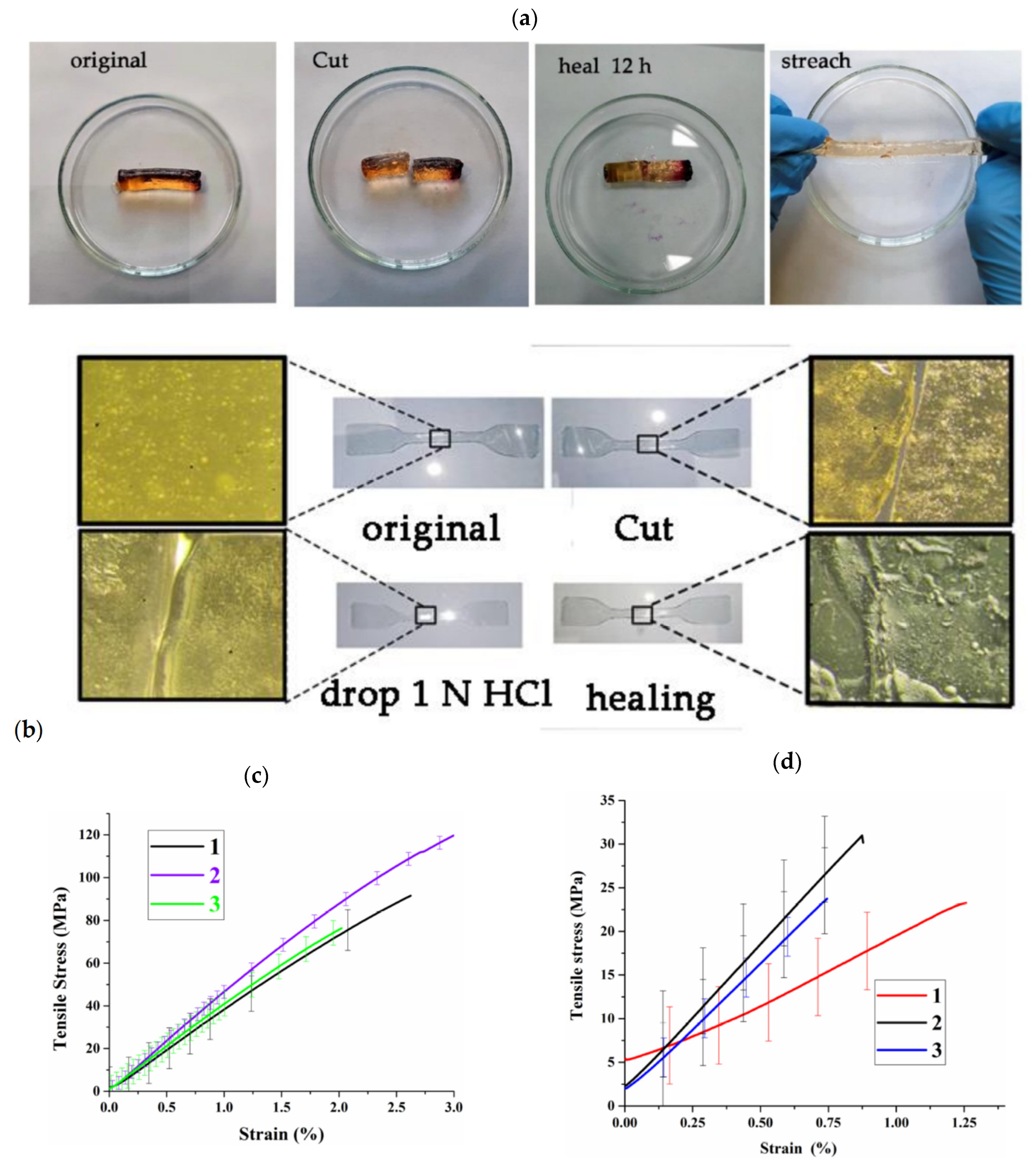 Polymers 14 05404 g019 Polymers 14 05404 g019