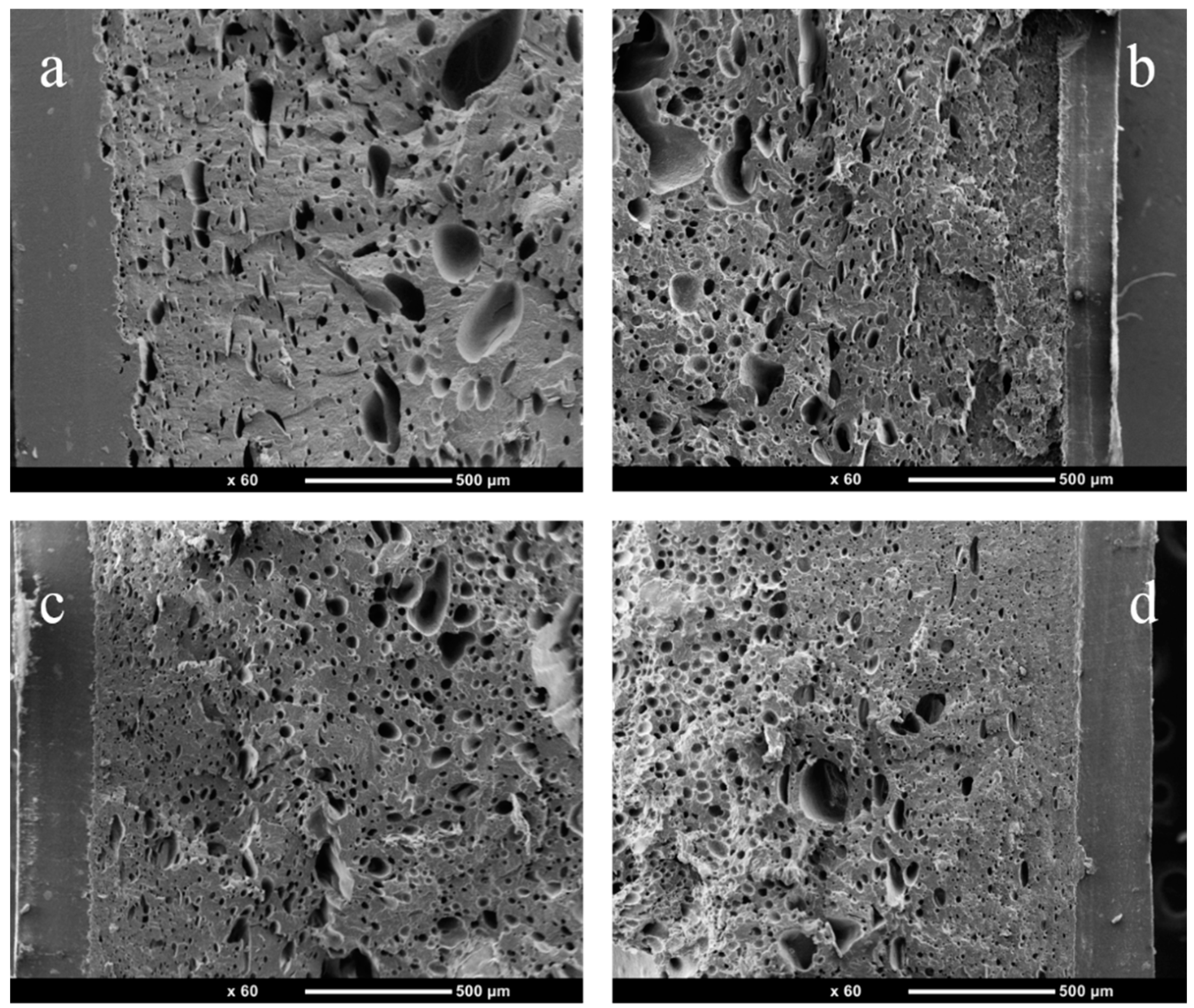 Polymers 14 05411 g004 Polymers 14 05411 g004