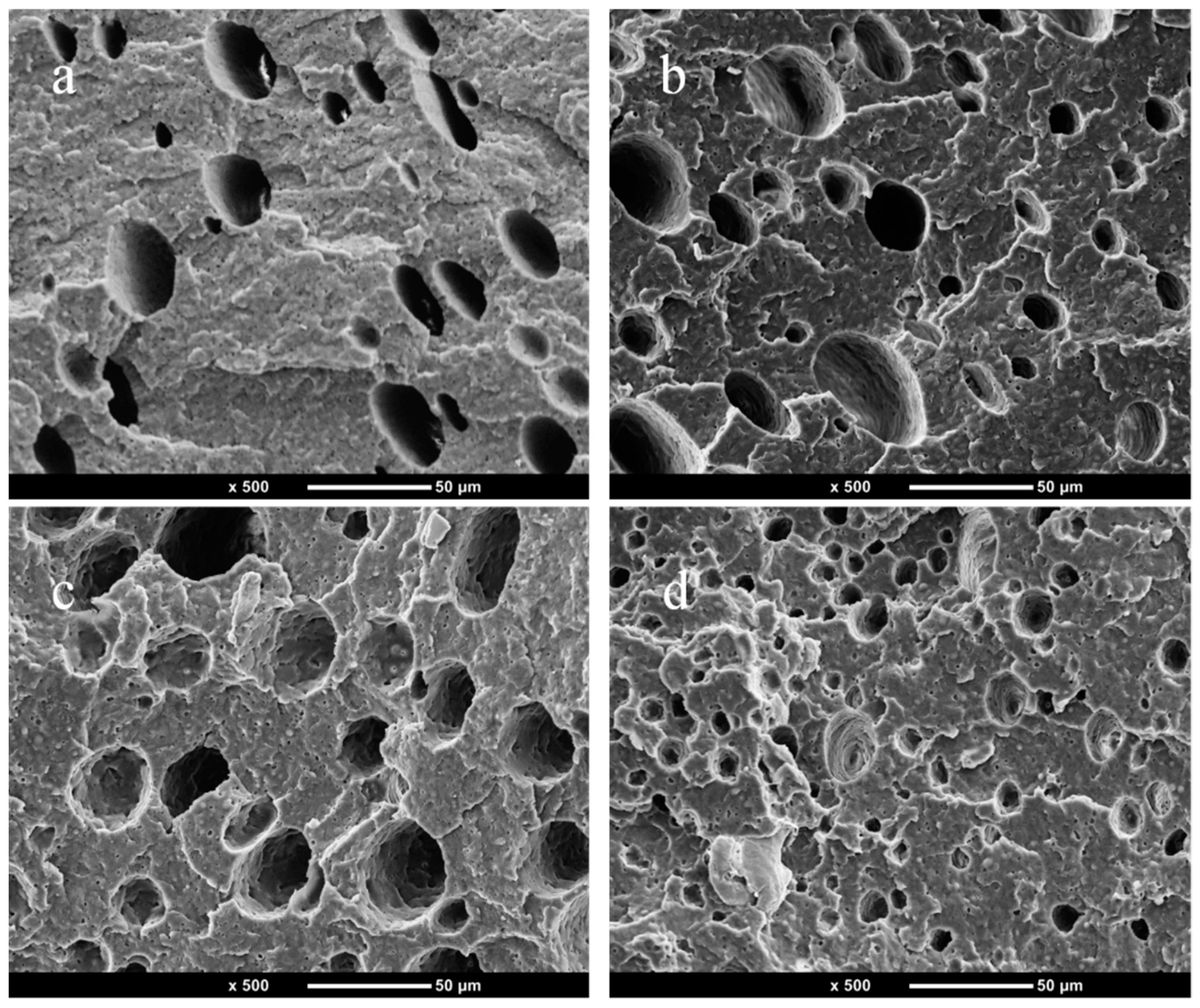 Polymers 14 05411 g005 Polymers 14 05411 g005