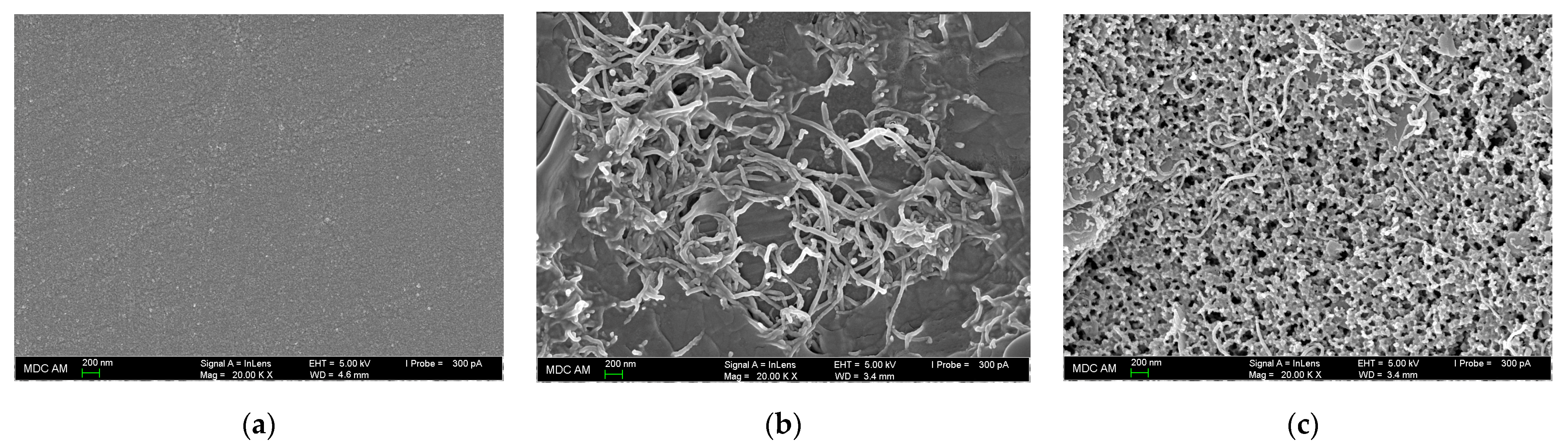 Polymers 14 05429 g006