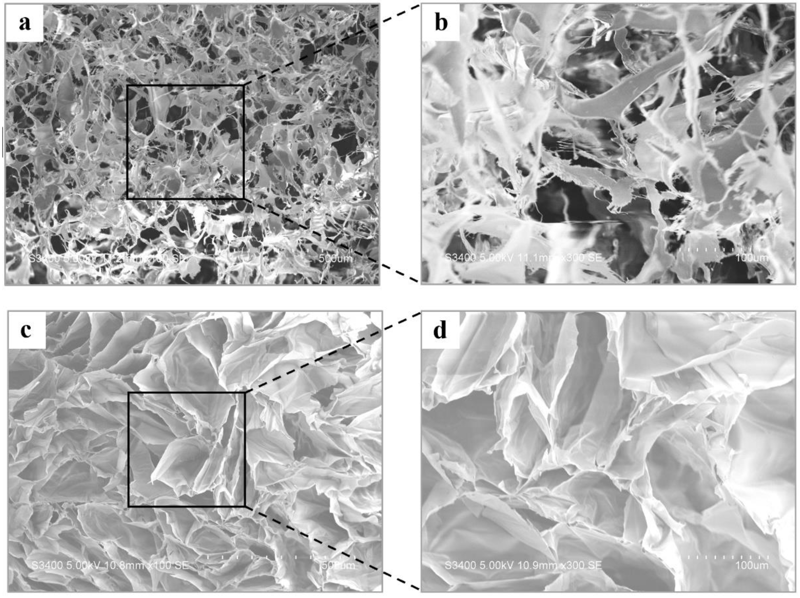 Polymers 14 05430 g001 Polymers 14 05430 g001