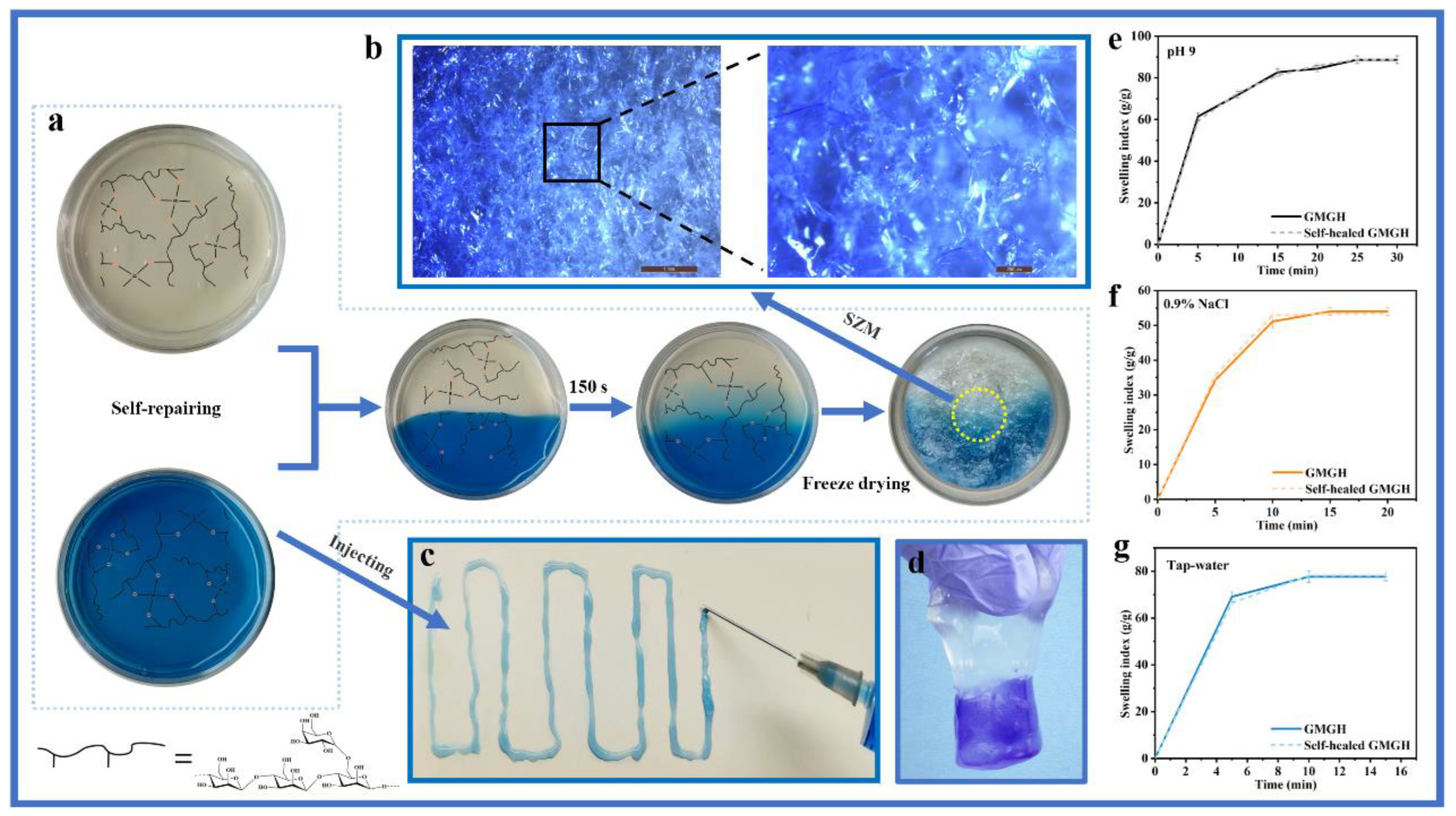 Polymers 14 05430 g003 Polymers 14 05430 g003