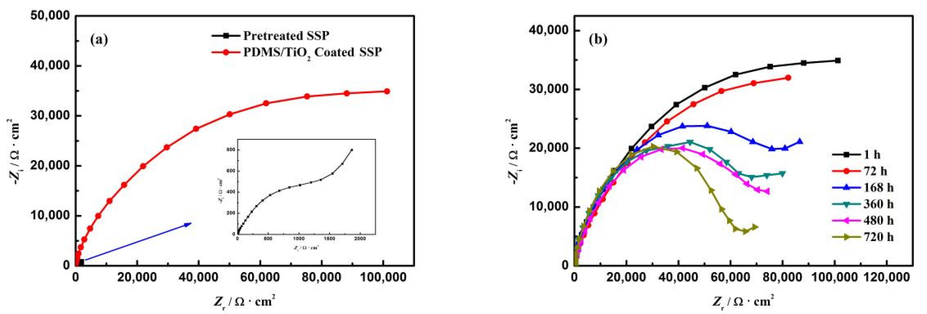 Polymers 14 05431 g005