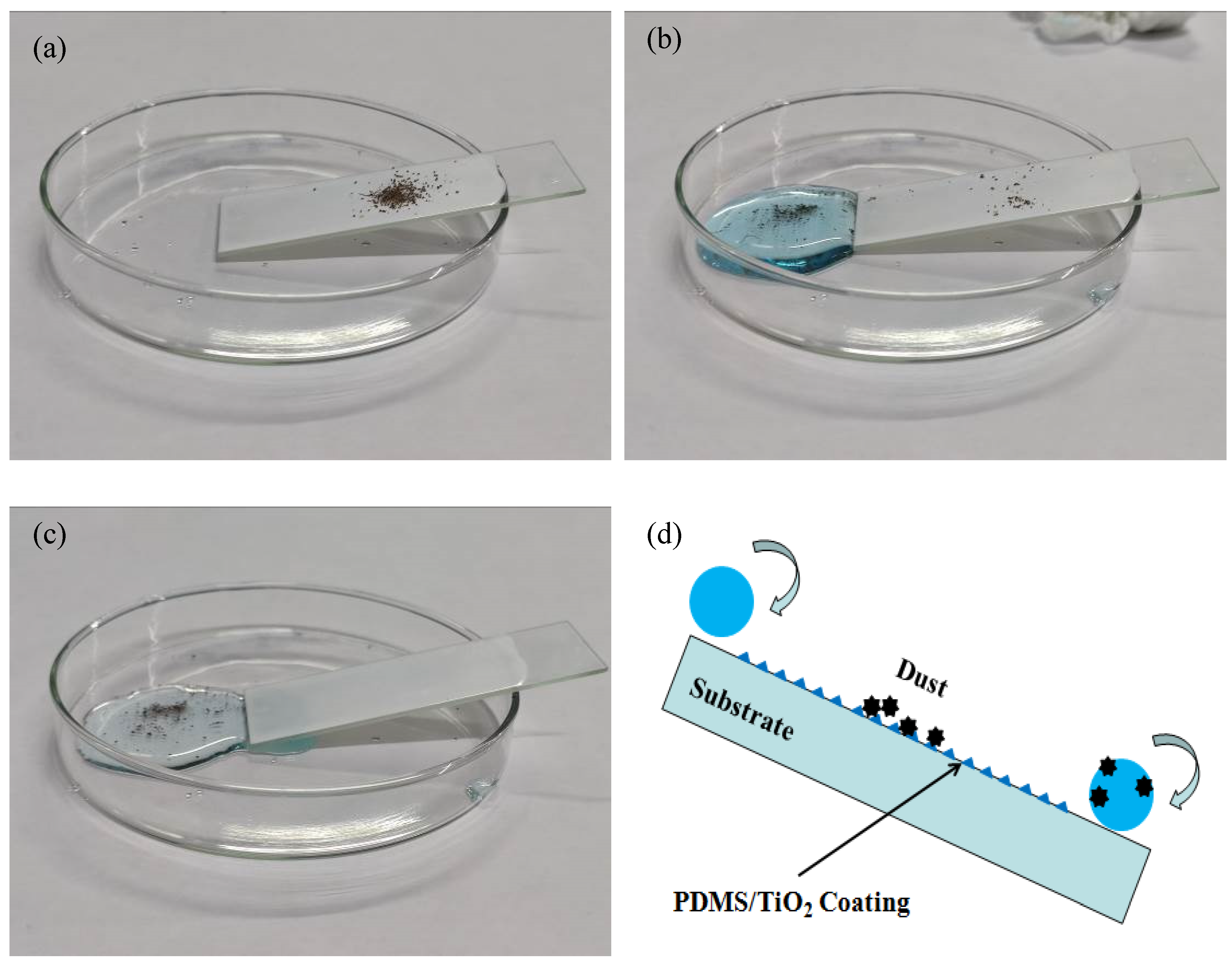 Polymers 14 05431 g008