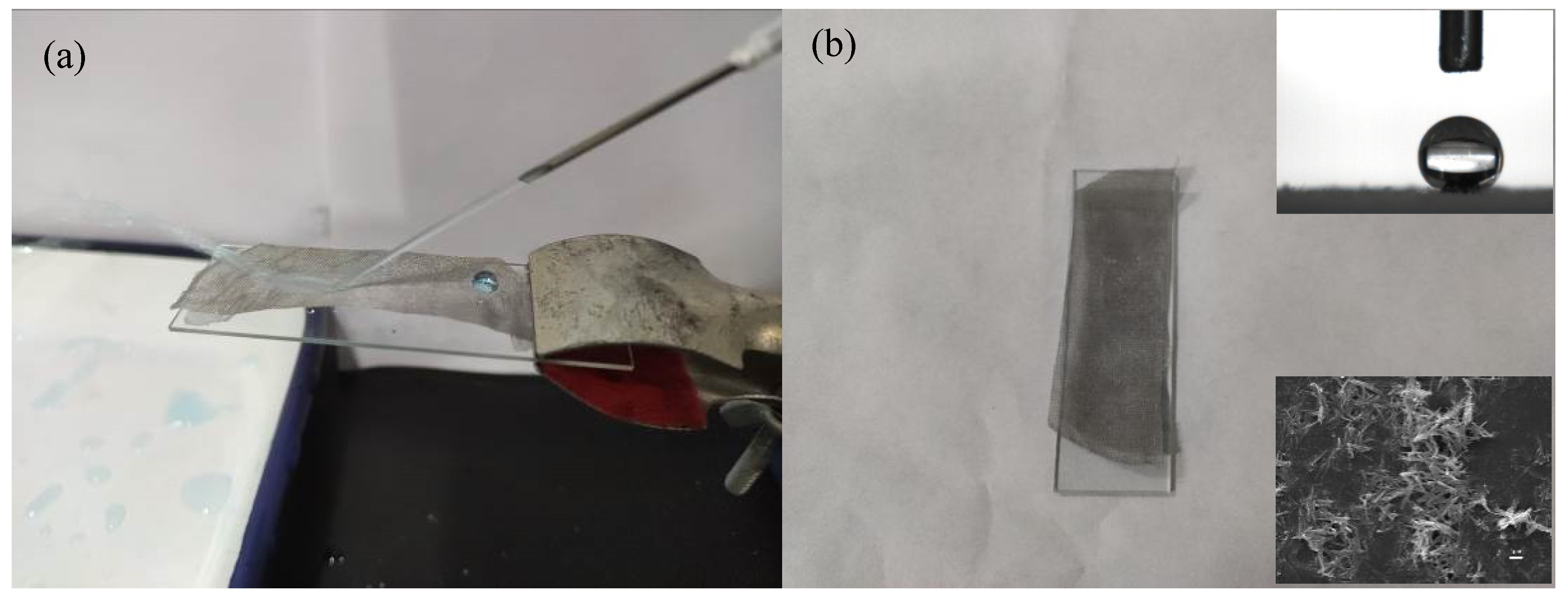 Polymers 14 05431 g009
