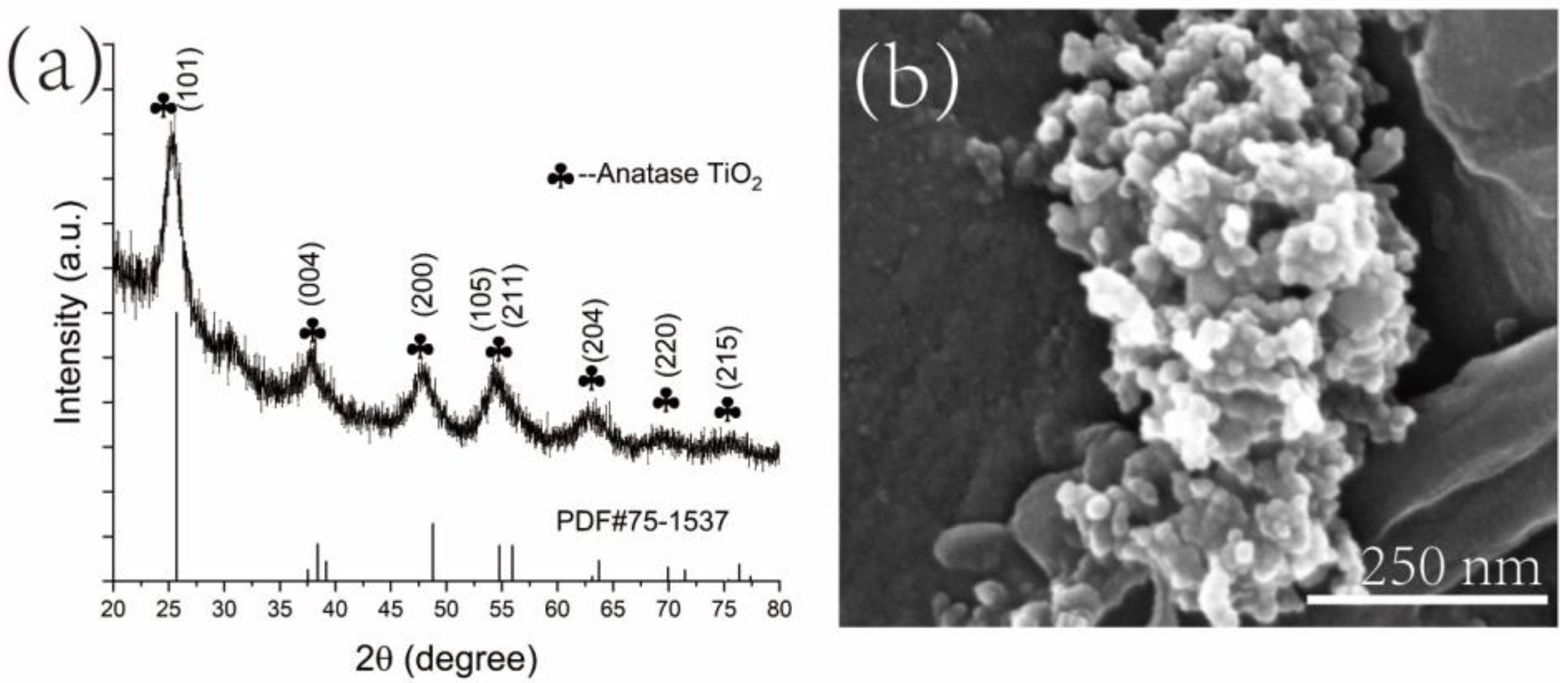 Polymers 14 05435 g002