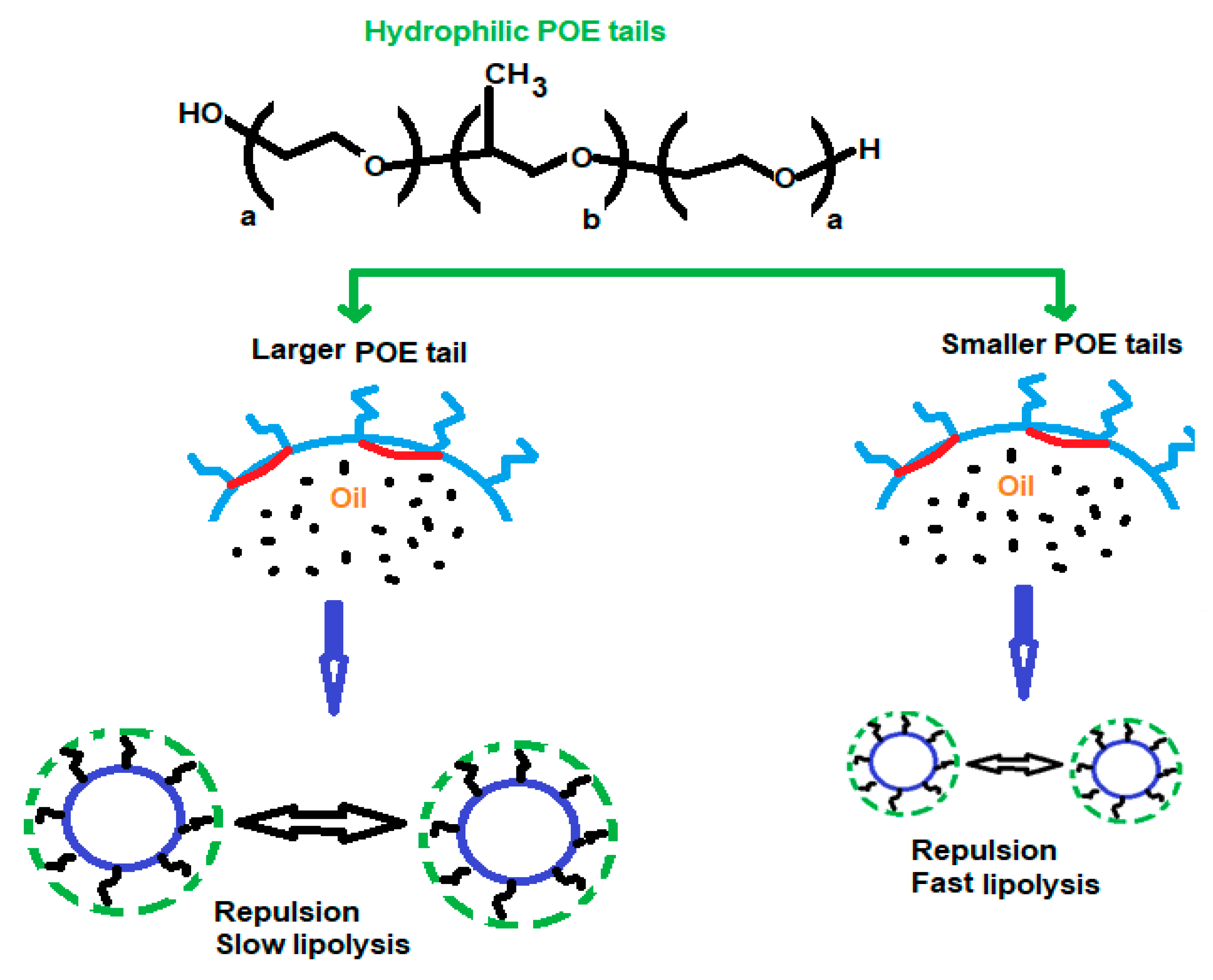 Polymers 14 05445 g001