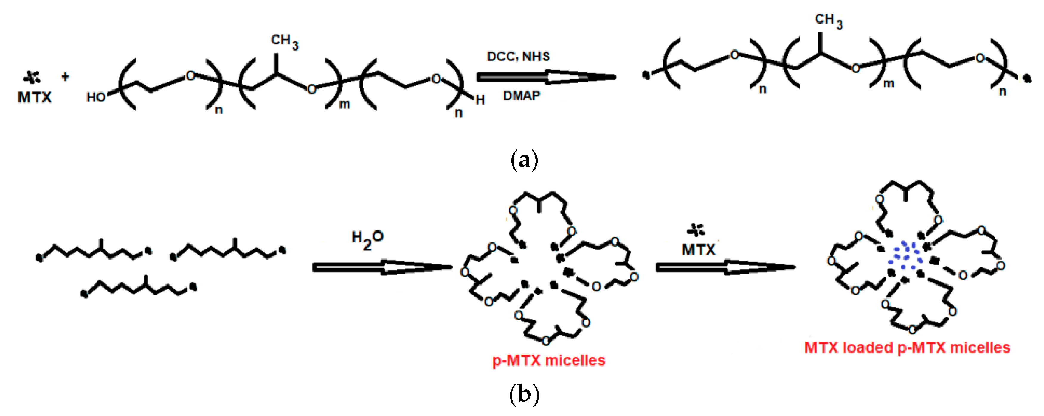 Polymers 14 05445 g002