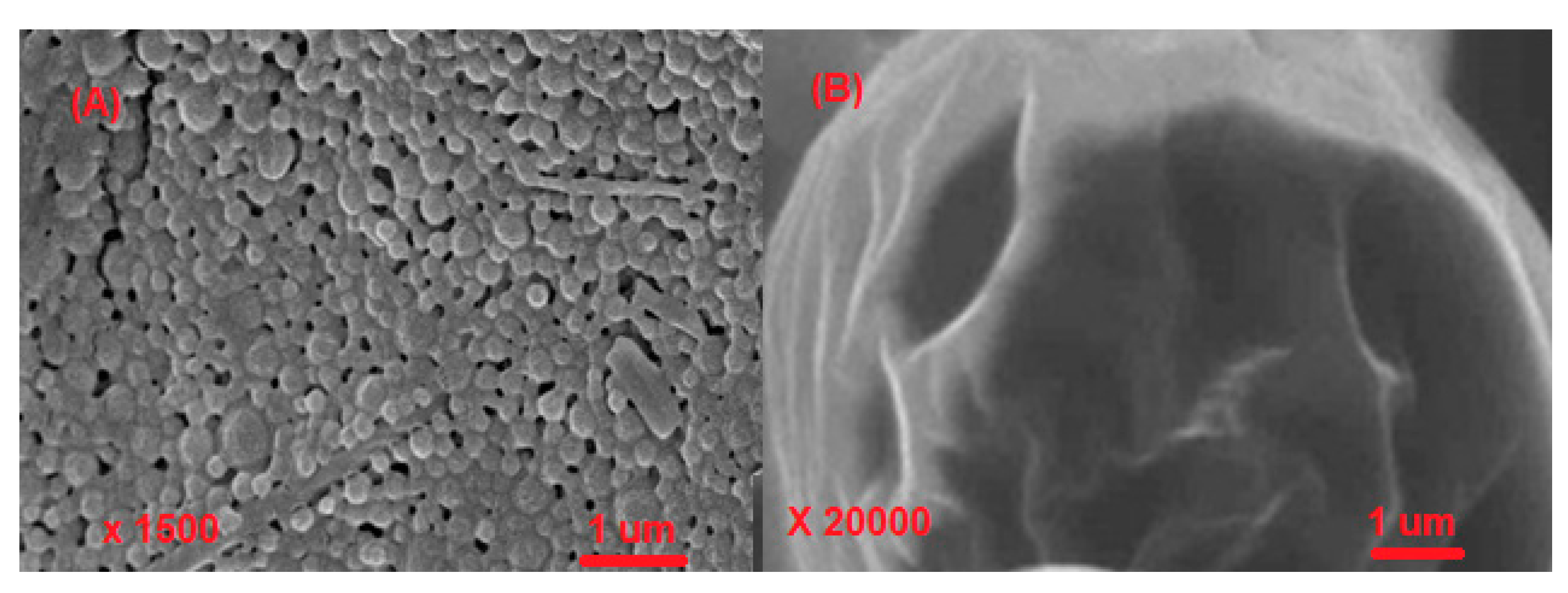 Polymers 14 05445 g003