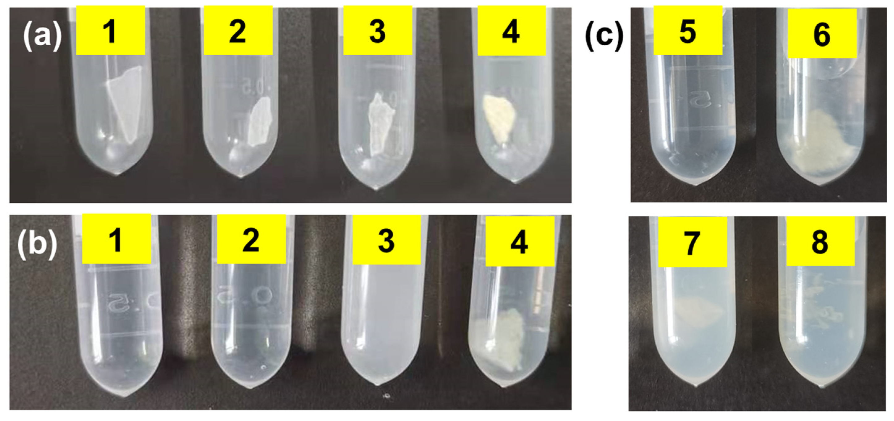 Polymers 14 05451 g004 Polymers 14 05451 g004