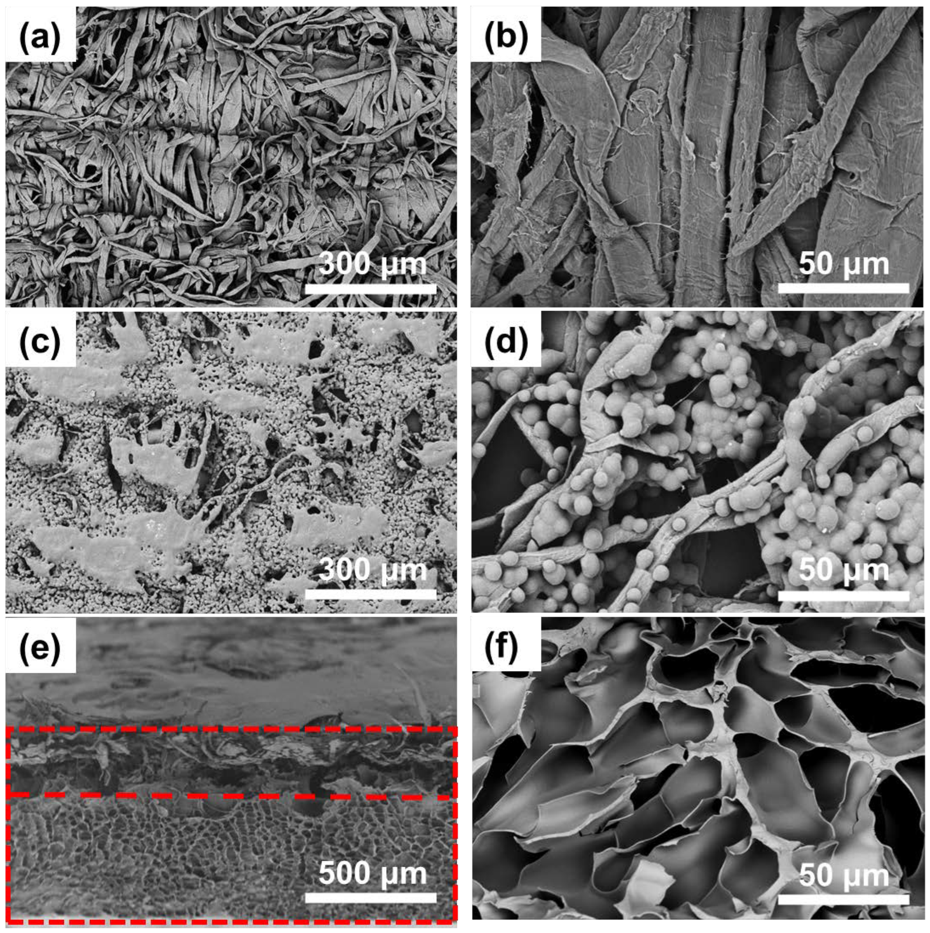 Polymers 14 05454 g002 Polymers 14 05454 g002