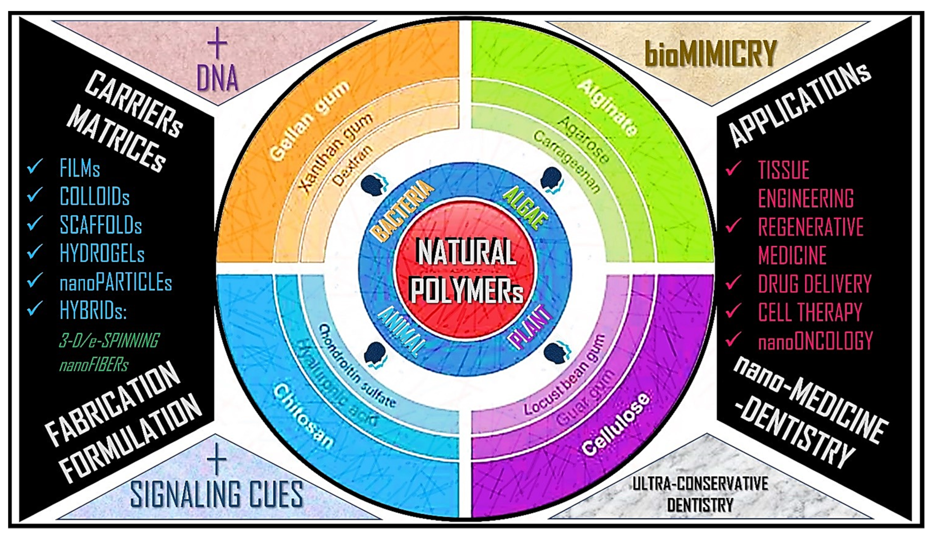 Polymers 14 05459 g003