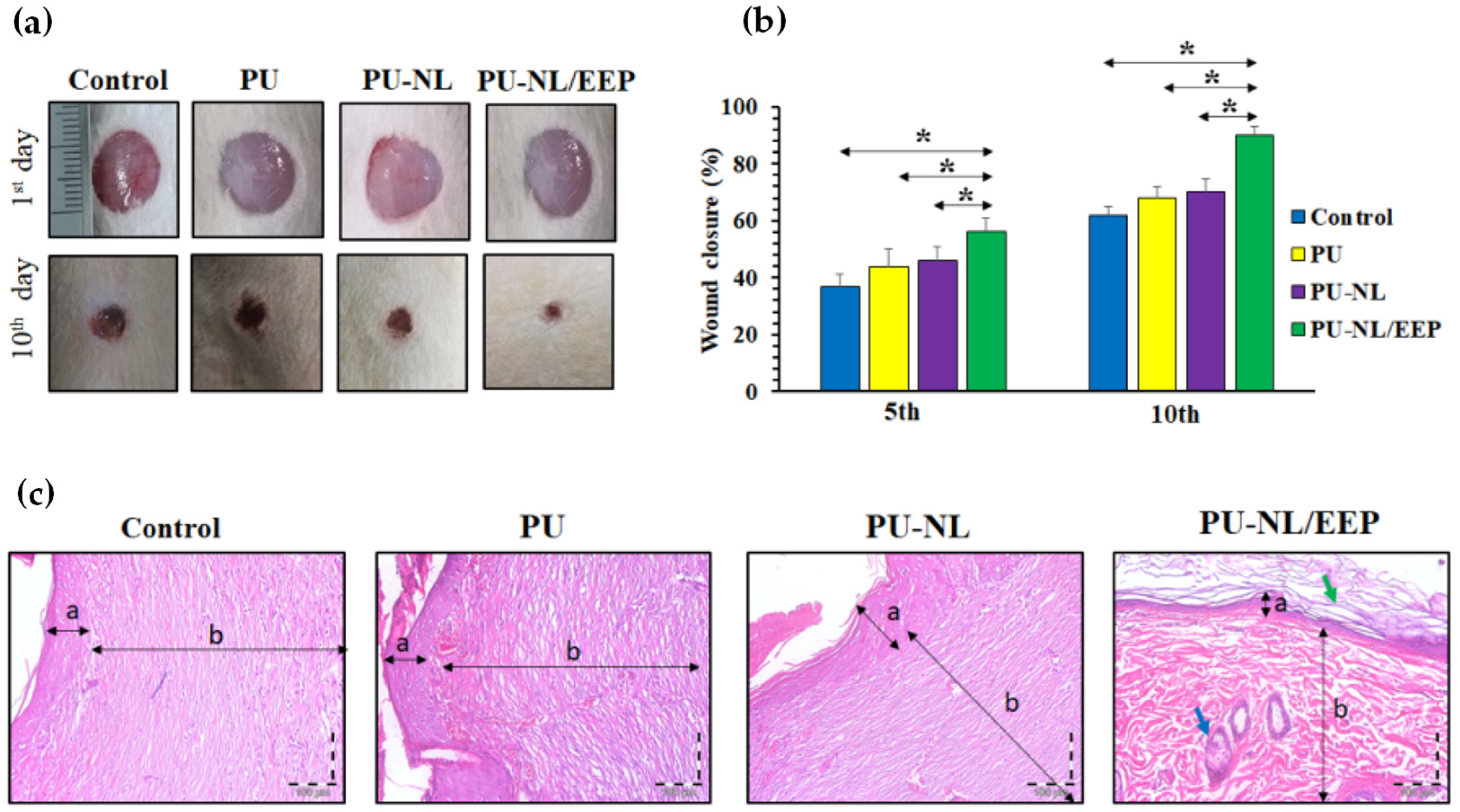 Polymers 14 05470 g008 Polymers 14 05470 g008