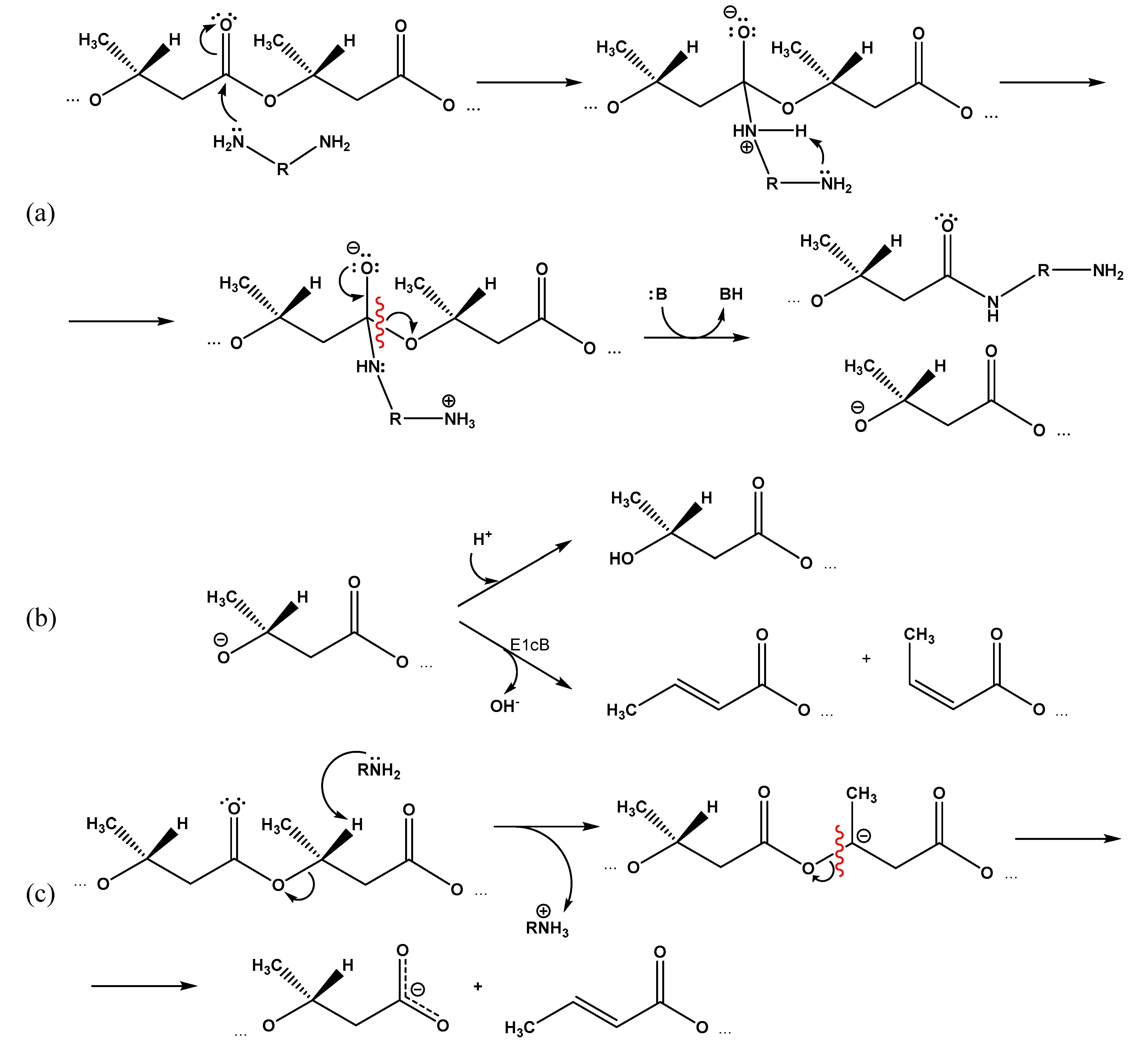 Polymers 14 05481 g007