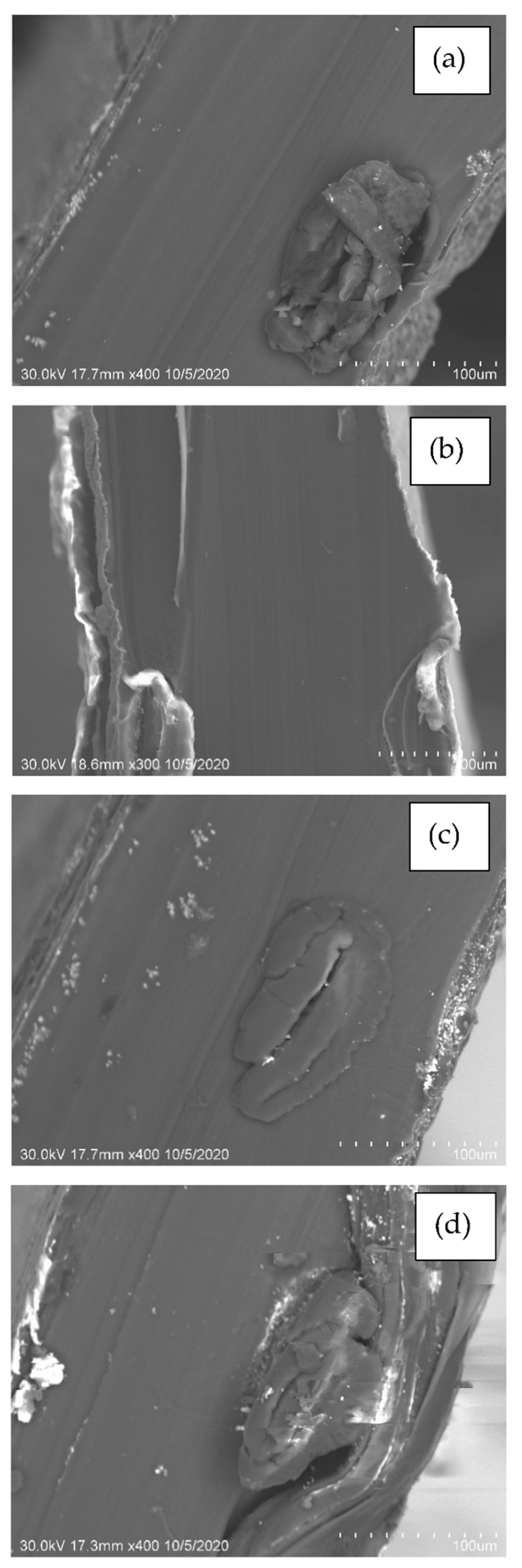 Polymers 14 05497 g002 Polymers 14 05497 g002