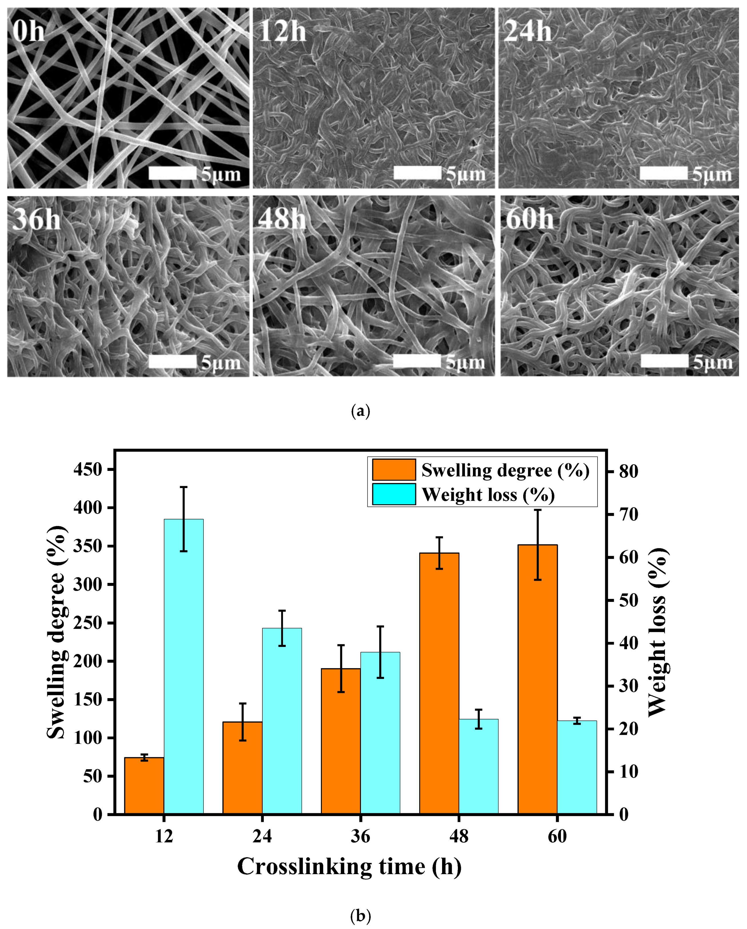 Polymers 14 05505 g003 Polymers 14 05505 g003