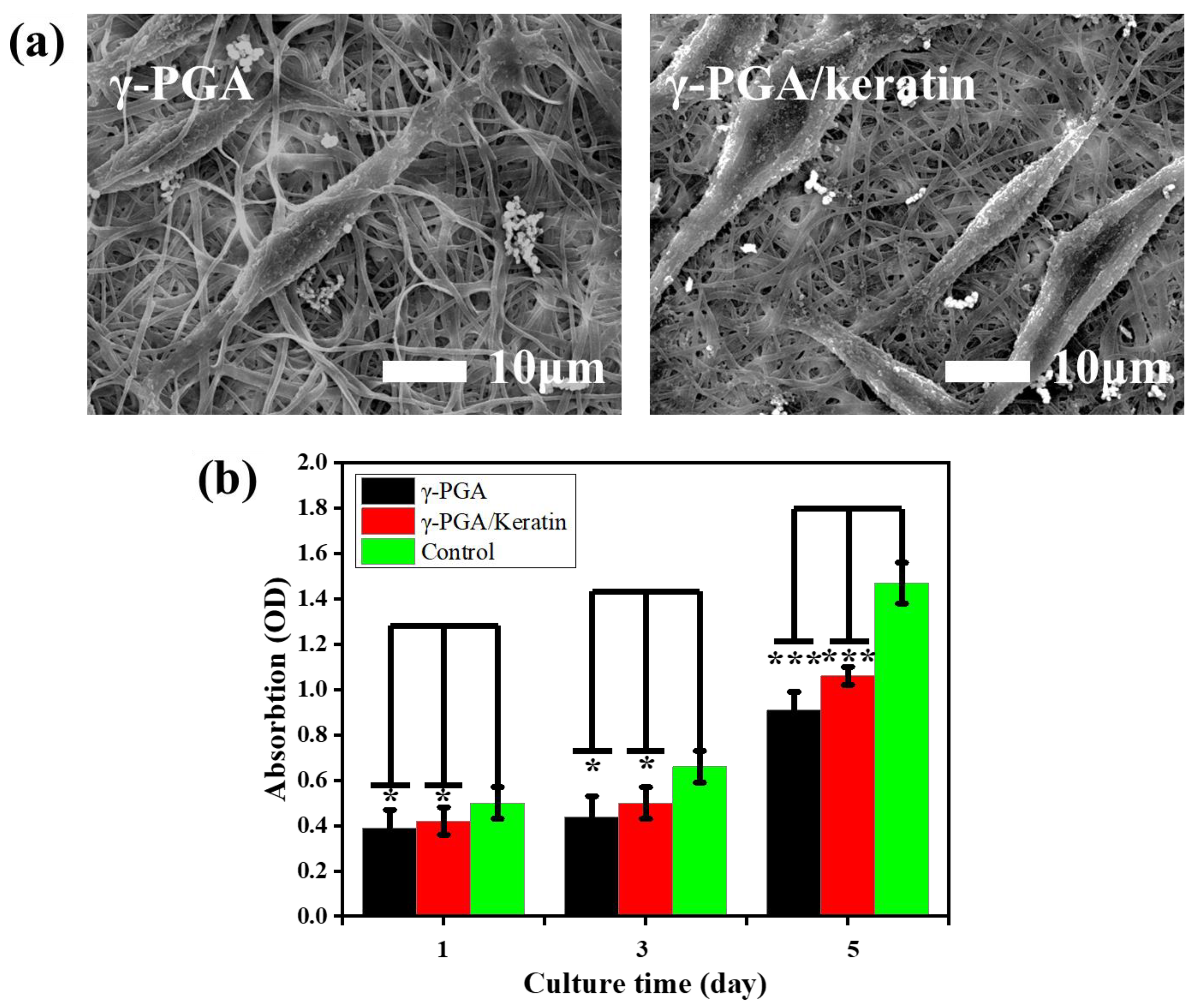 Polymers 14 05505 g007 Polymers 14 05505 g007