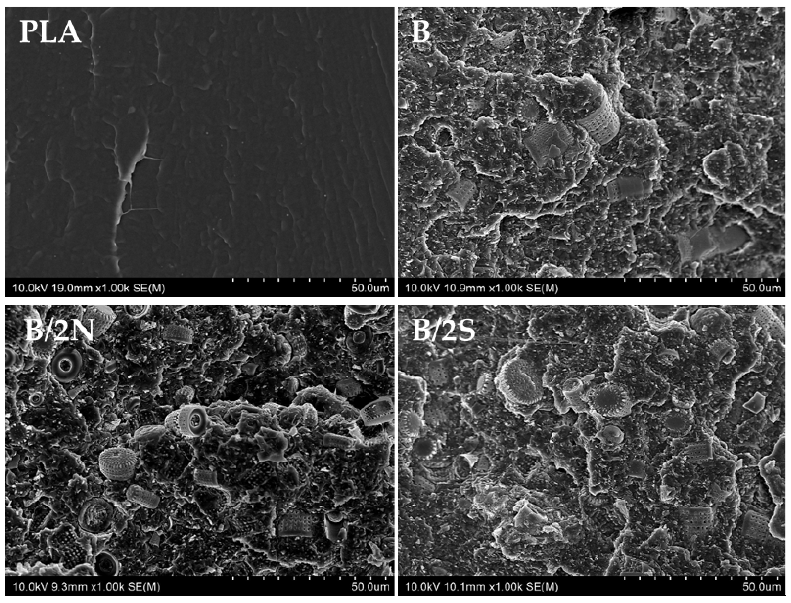 Polymers 14 05511 g010 Polymers 14 05511 g010