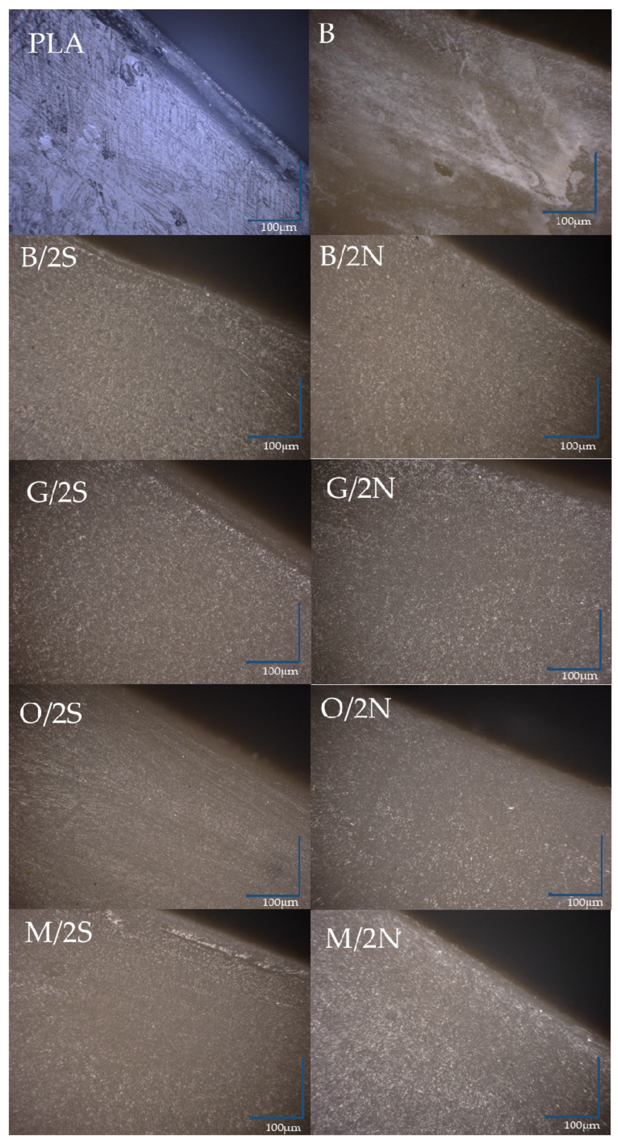 Polymers 14 05511 g013 Polymers 14 05511 g013