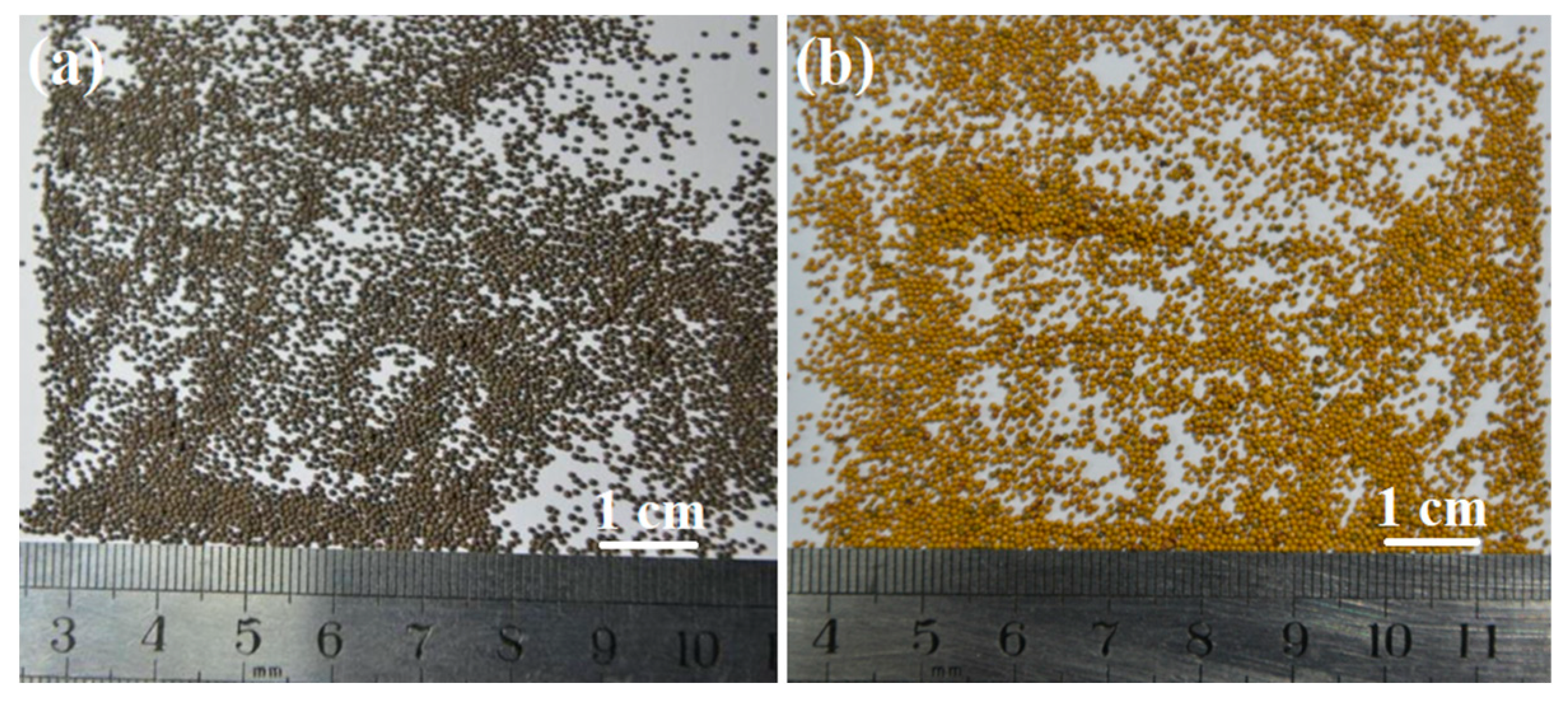 Polymers 14 05534 g006 Polymers 14 05534 g006