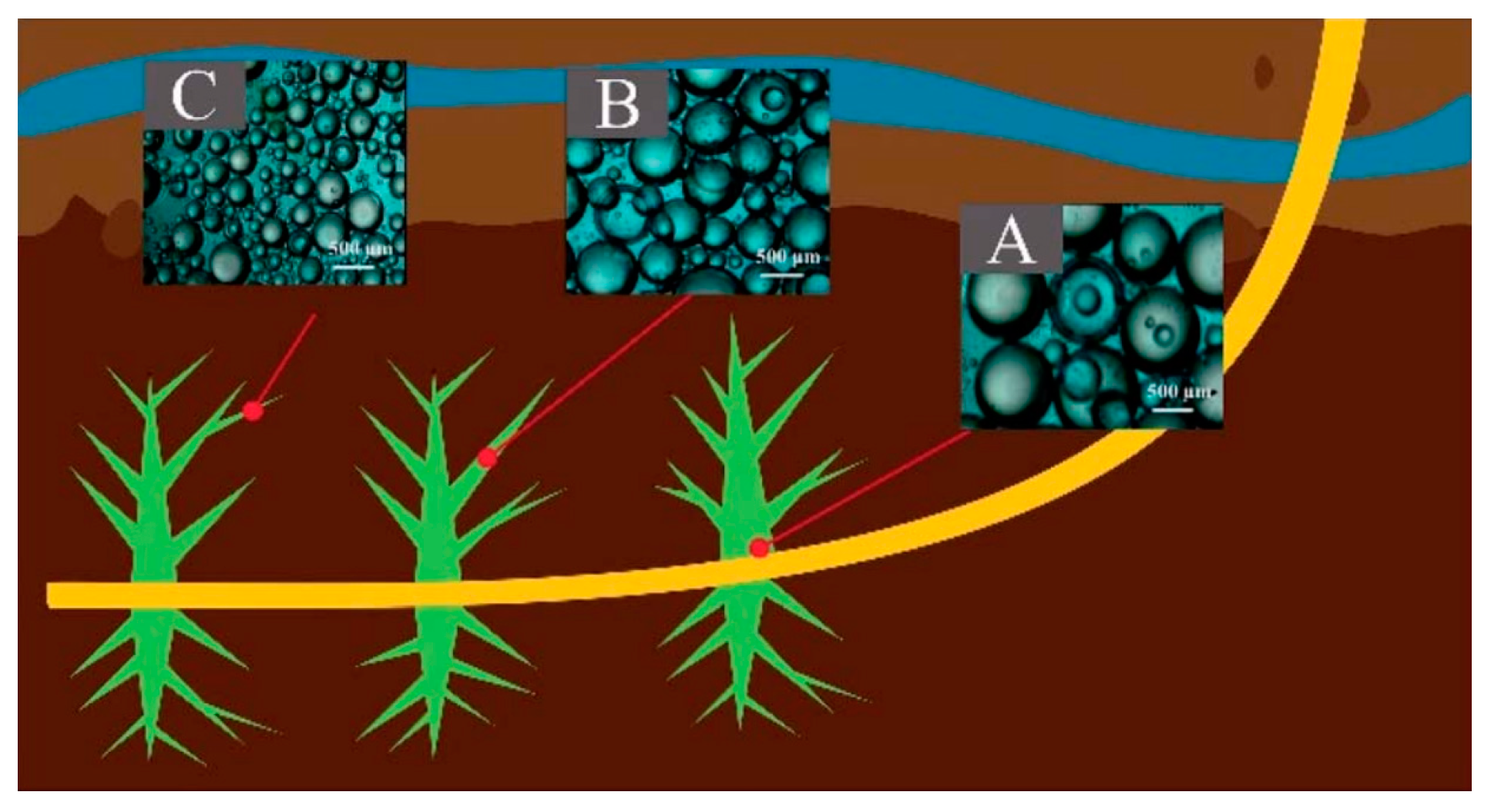 Polymers 14 05534 g008 Polymers 14 05534 g008