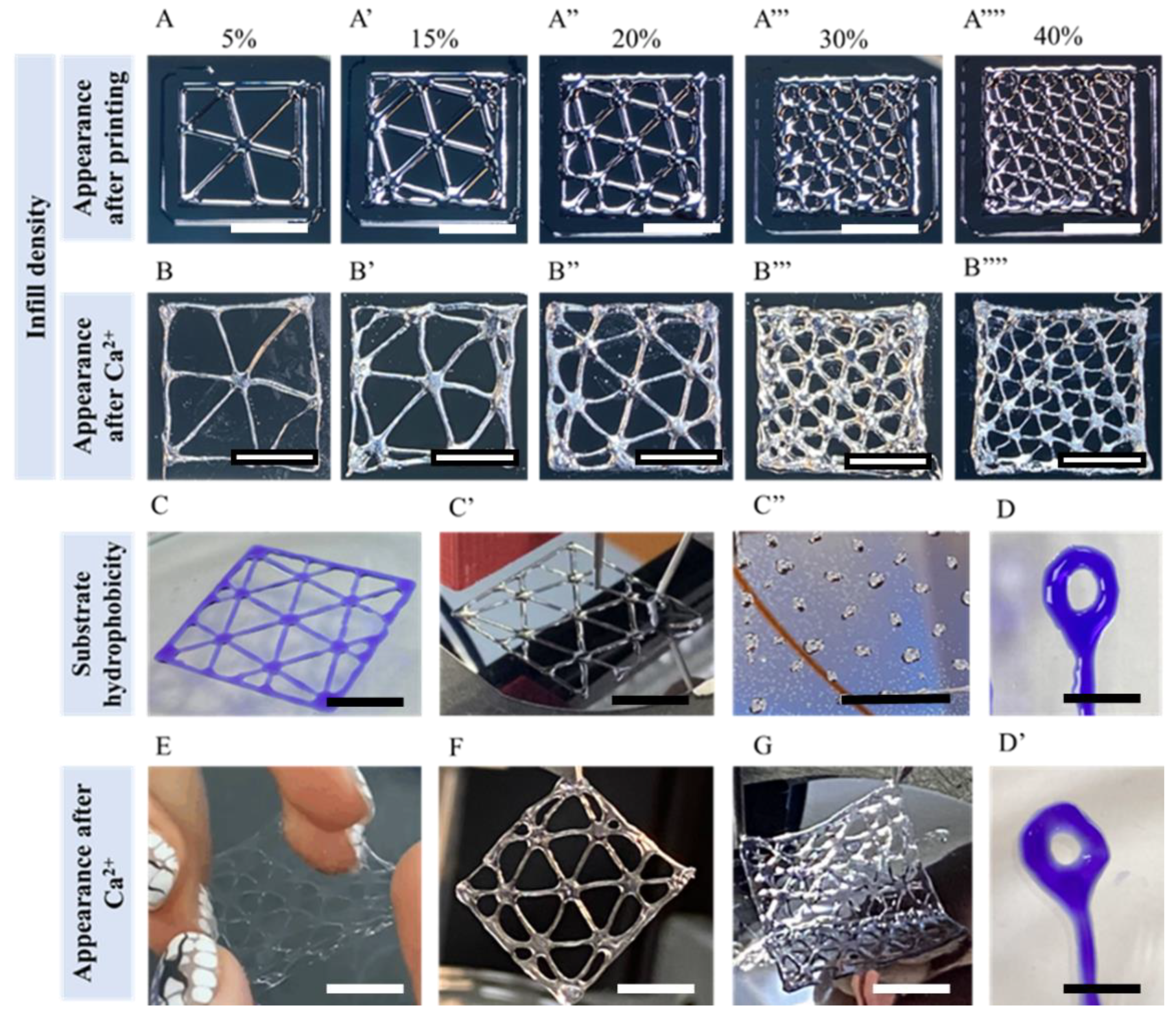 Polymers 14 05539 g007 Polymers 14 05539 g007