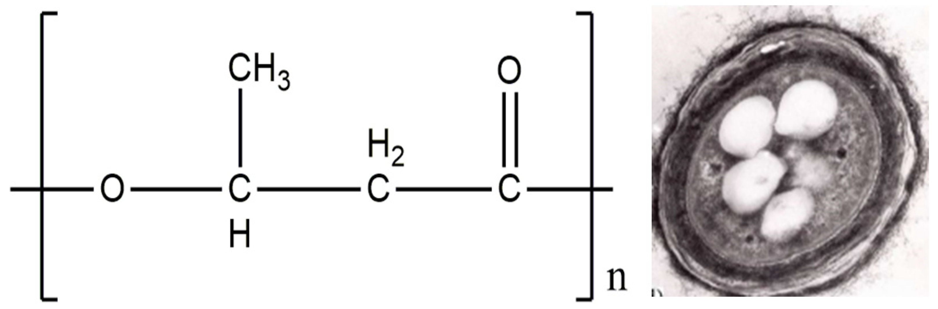 Polymers 14 05549 g003